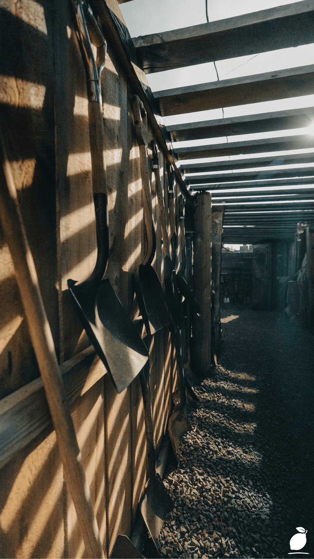 How To Organize a Shed