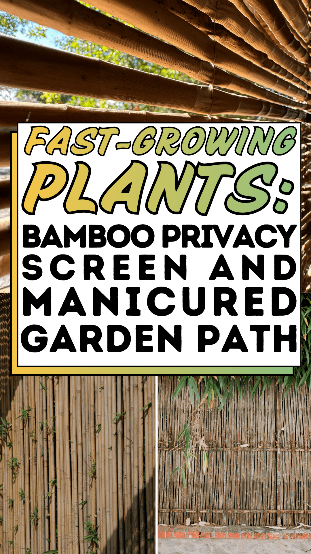 Fast-Growing Plants: Bamboo Privacy Screen and Manicured Garden Path