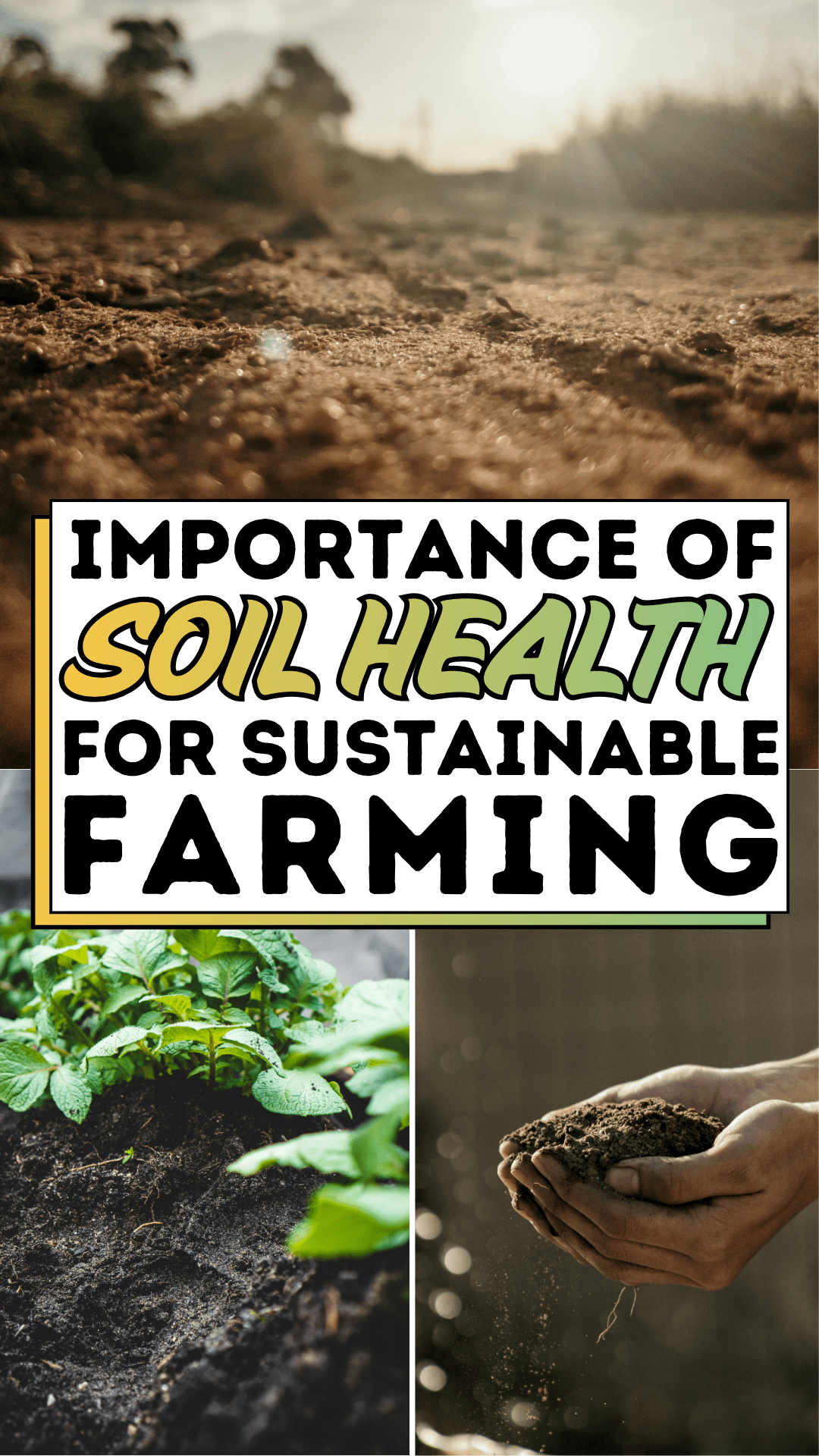 Importance Of Soil Health For Sustainable Farming