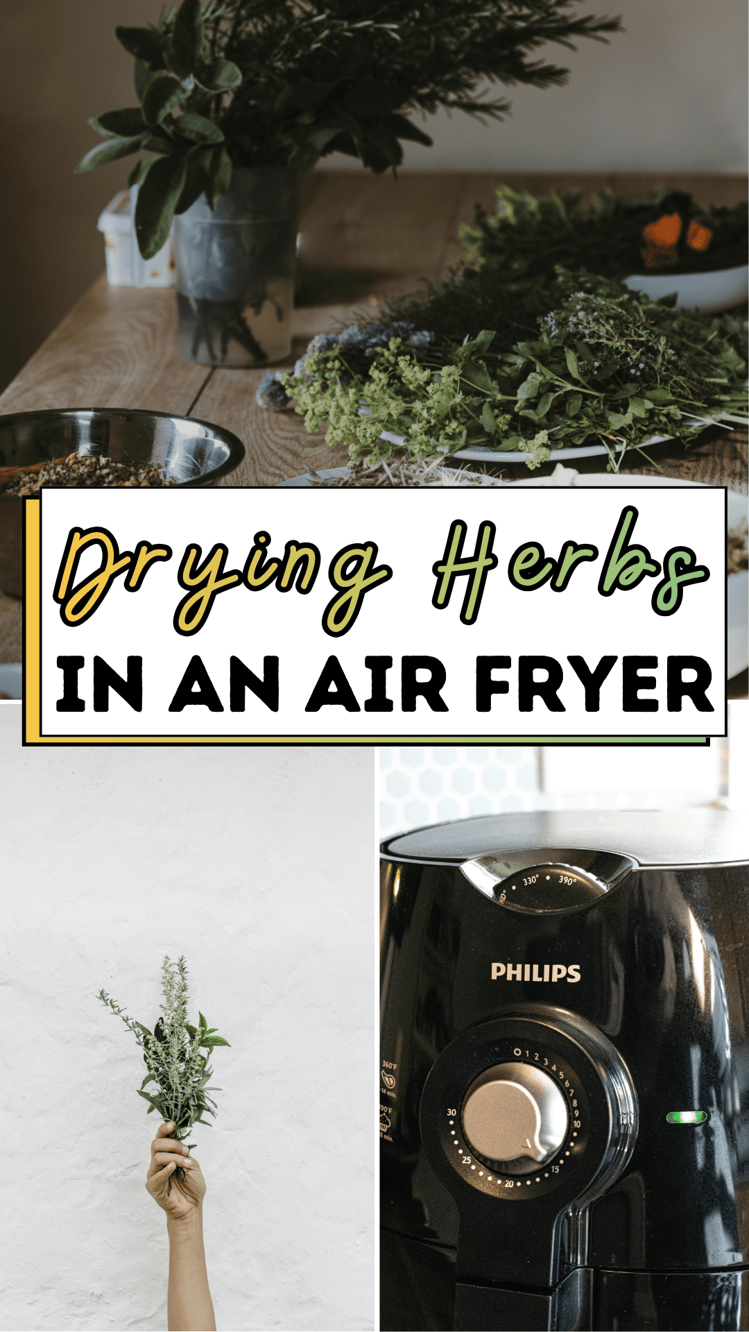 Drying Herbs in an Air Fryer