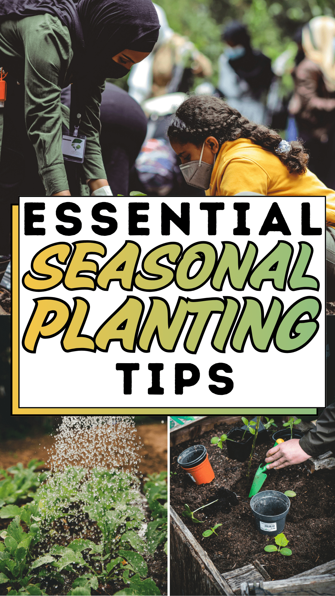 Essential Seasonal Planting Tips
