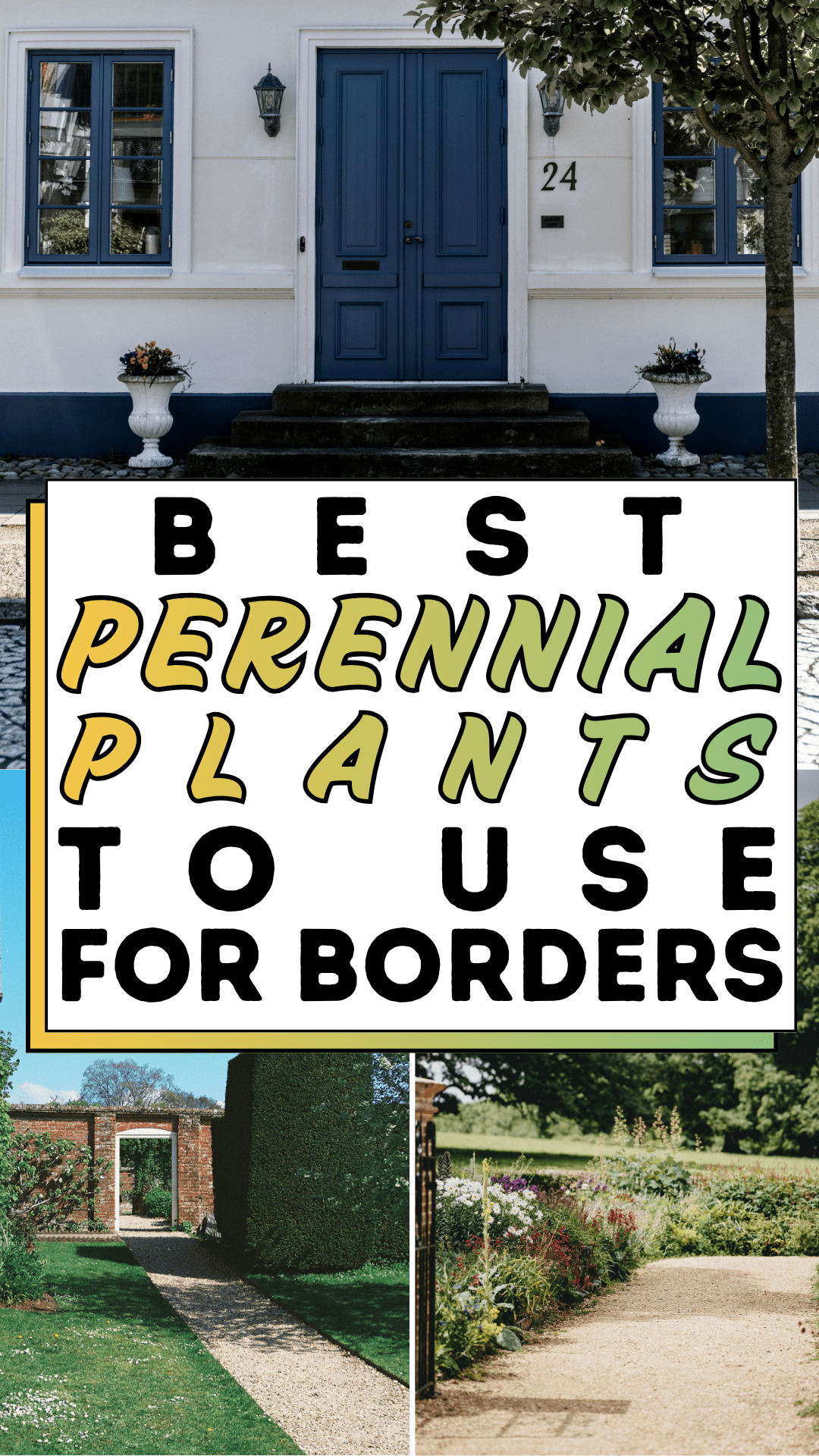 Best Perennial Plants To Use For Borders