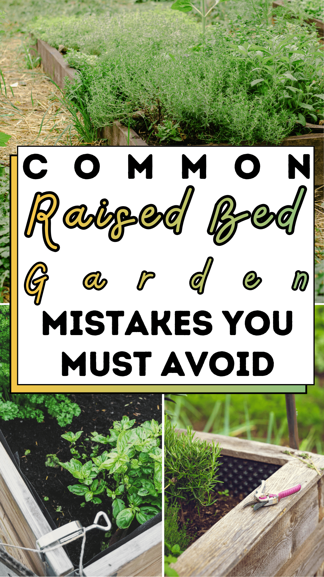 Common Raised Bed Garden Mistakes You Must Avoid