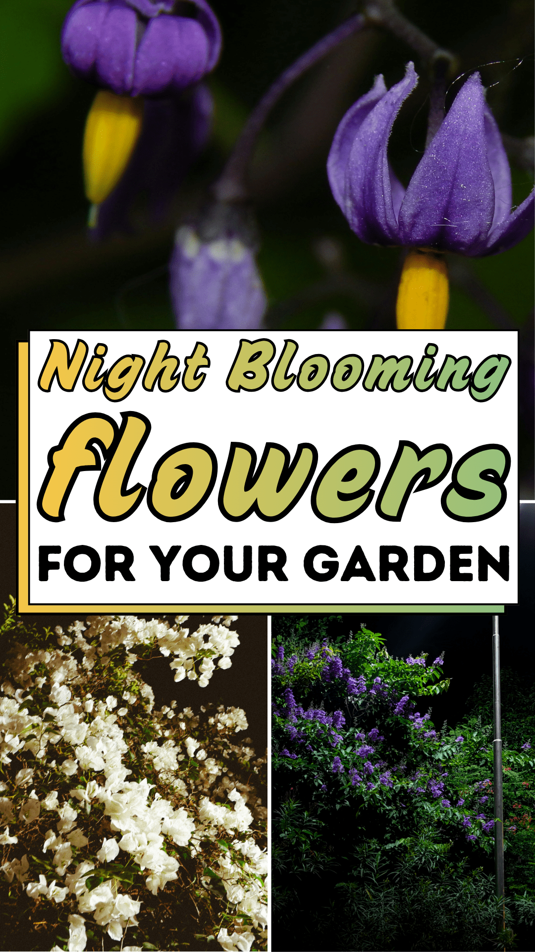 Night Blooming Flowers For Your Garden