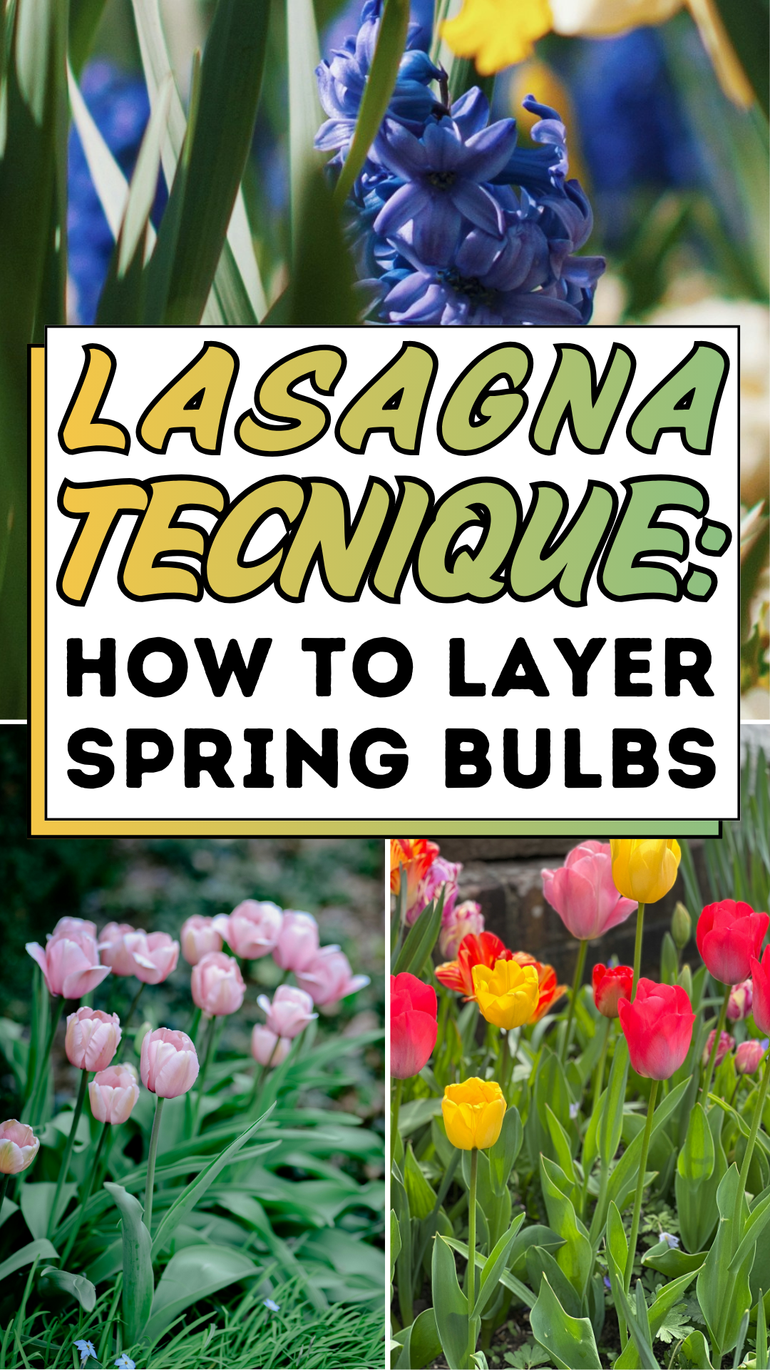 Lasagna Technique: How to Layer Spring Bulbs