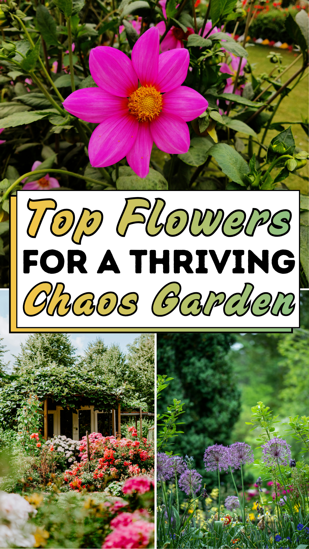 Top Flowers For A Thriving Chaos Garden