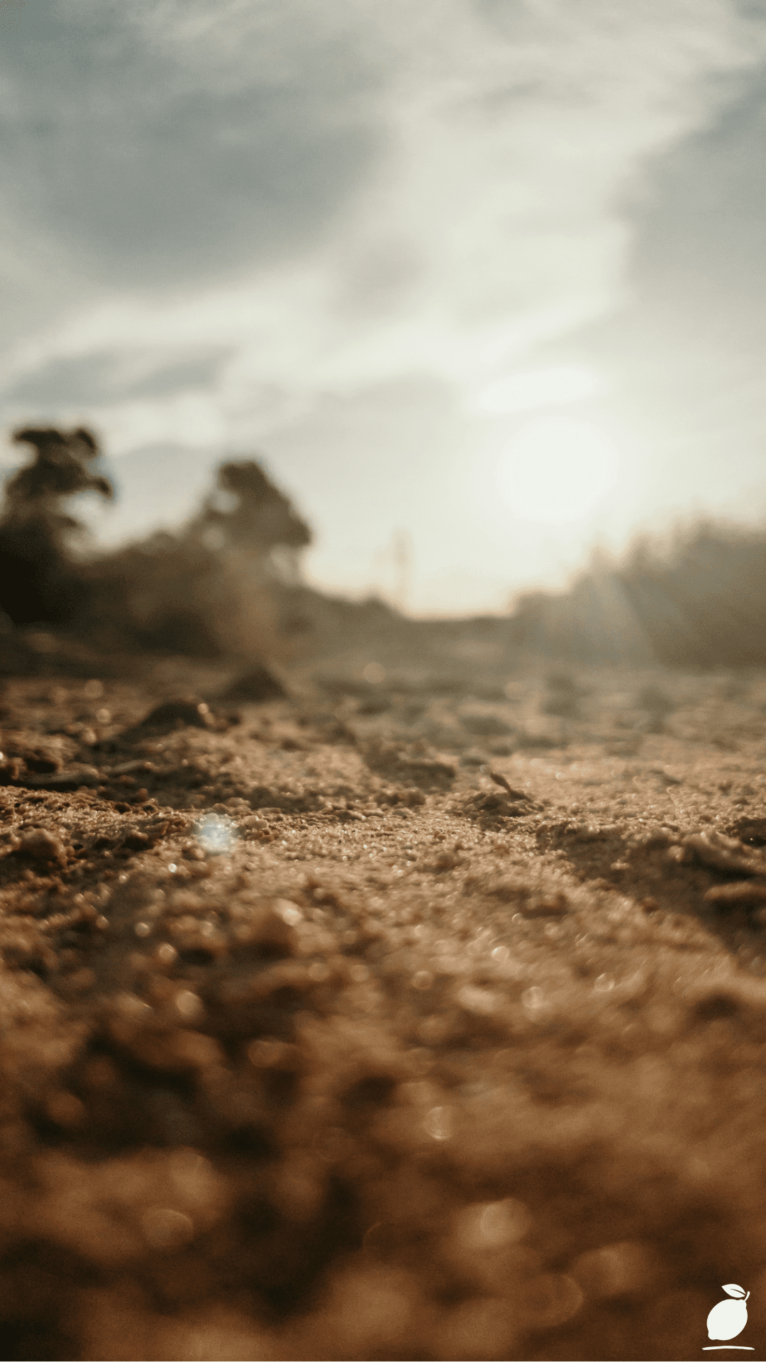 Importance Of Soil Health For Sustainable Farming