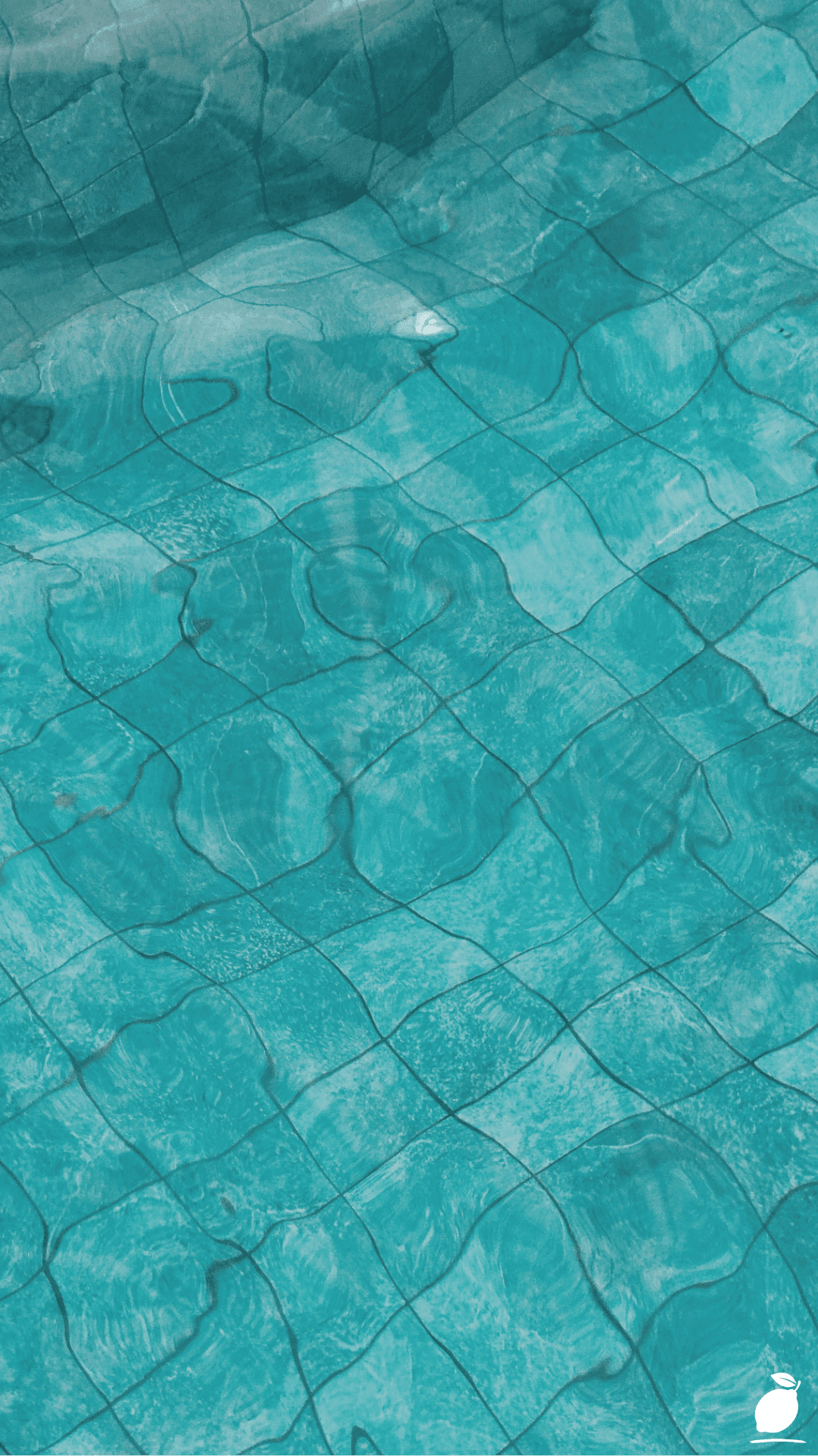 How to Clear Cloudy Pool Water in 48 Hours or Less