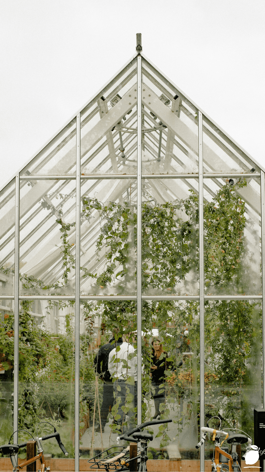 How to Insulate A Greenhouse