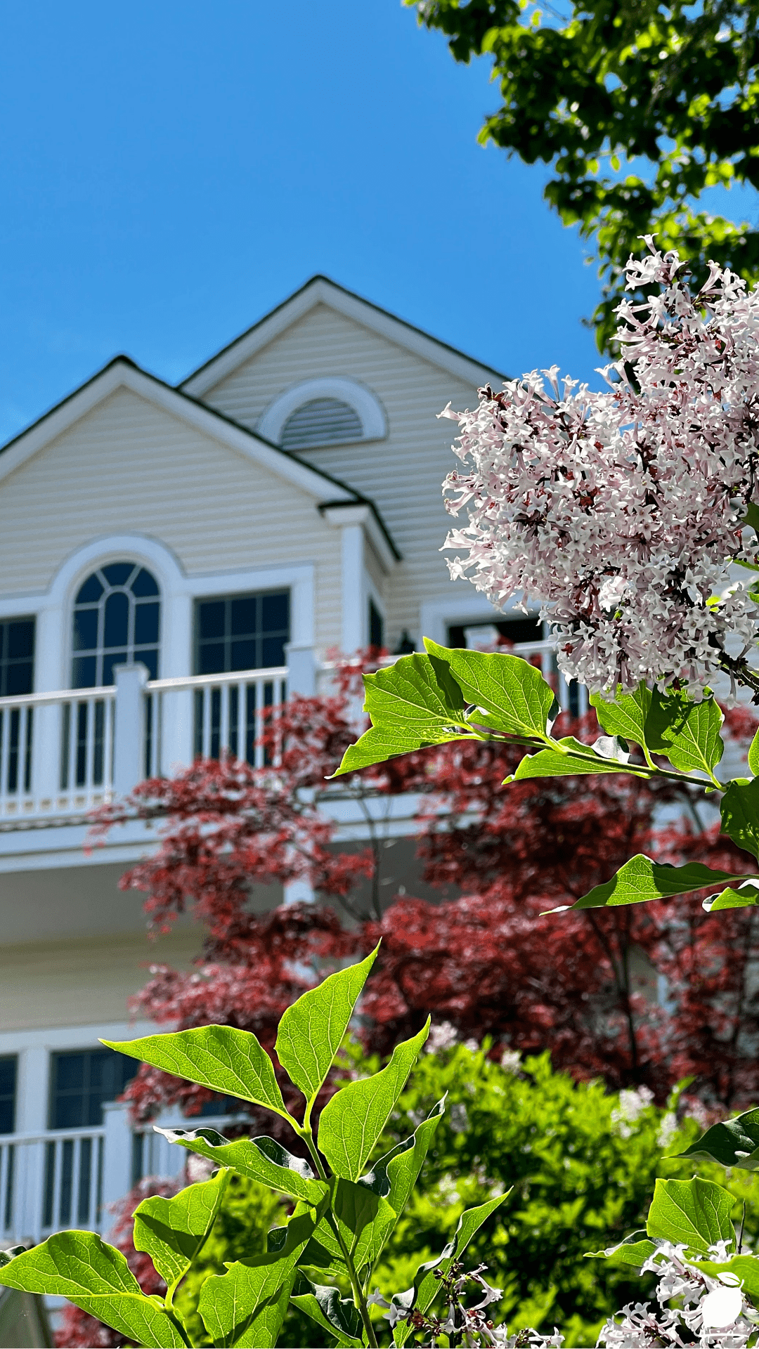 Curb Appeal On A Budget