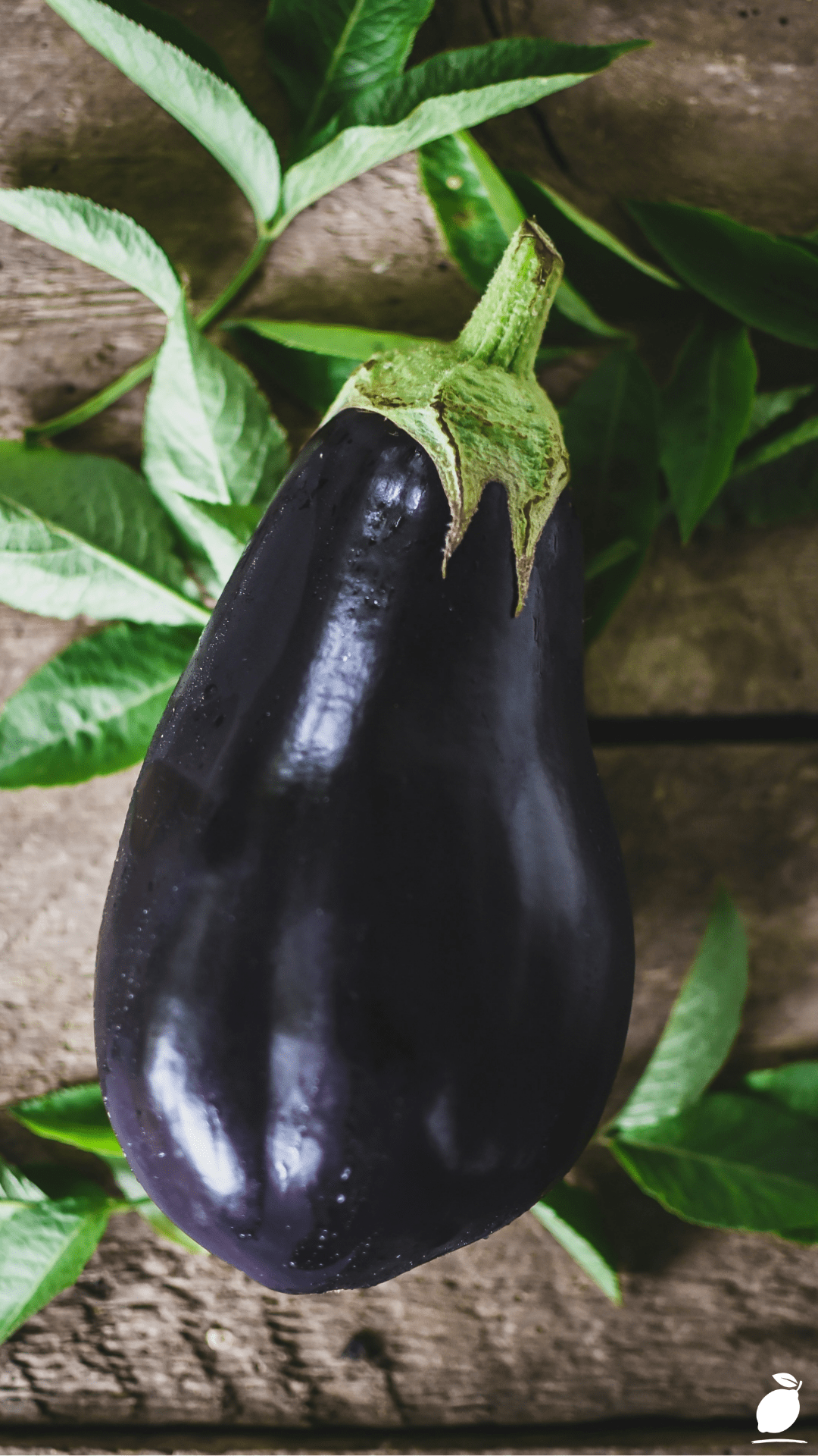 How To Freeze Eggplant