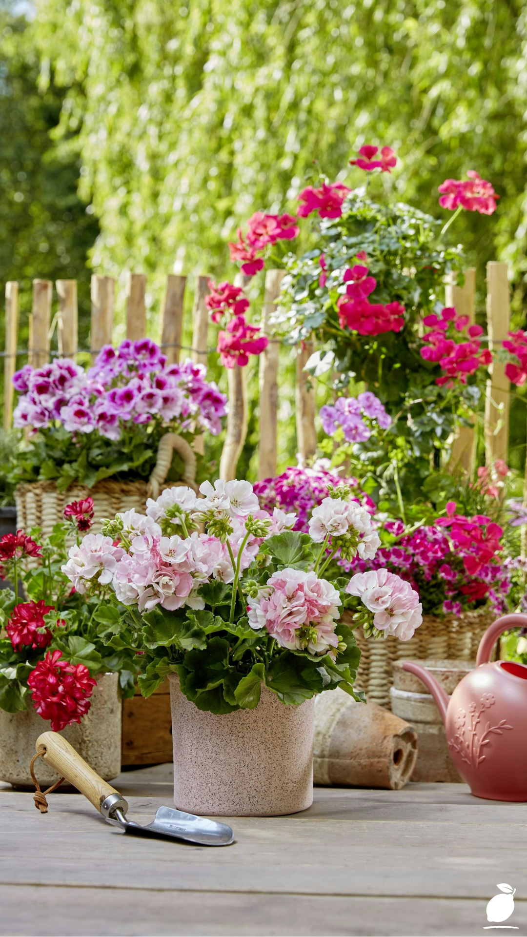 Cascading Flowers For Containers