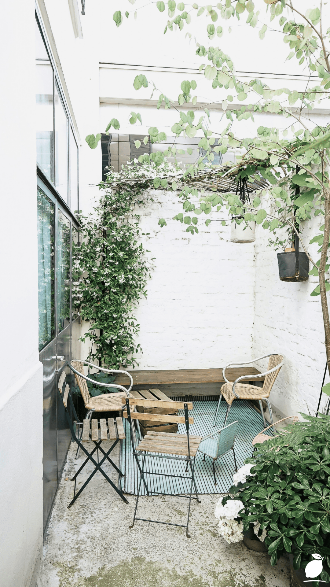 Plant For Shaded Patios And Porches