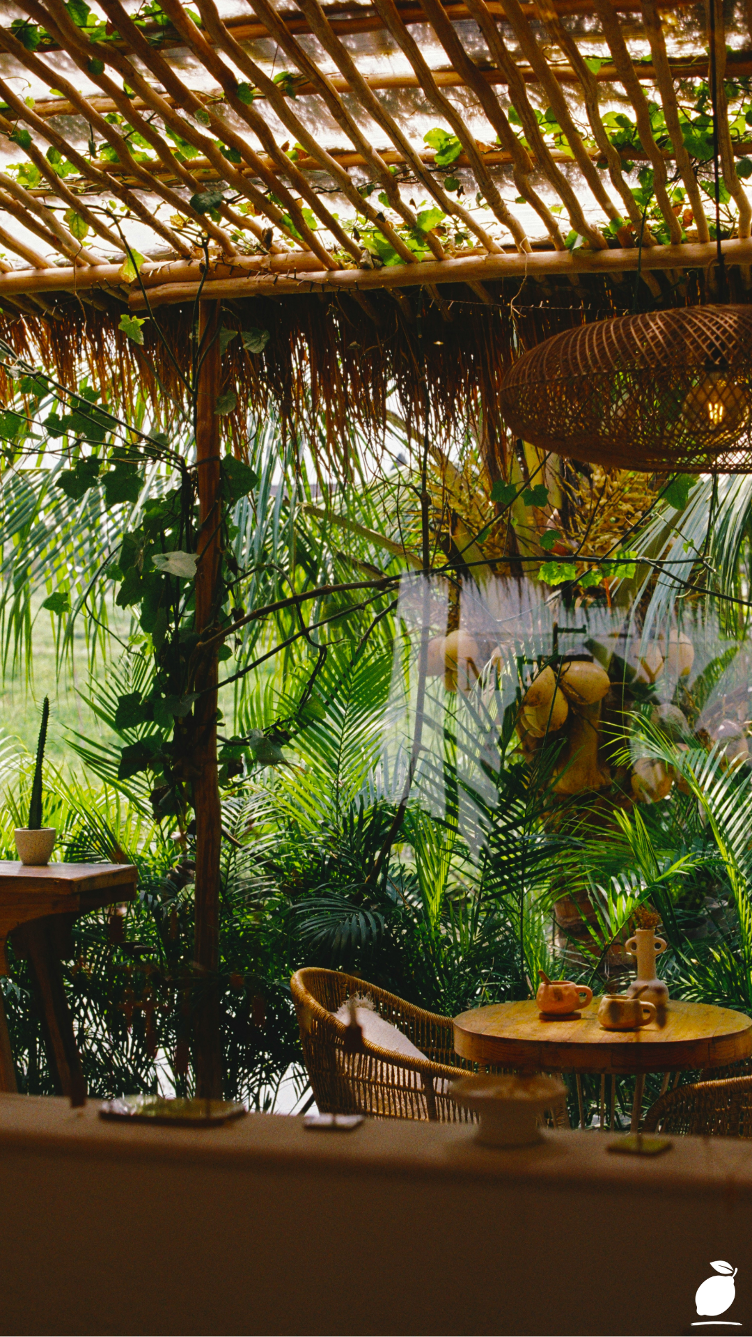 Boho Garden Guide: Turn Your Backyard Into a Bohemian Retreat