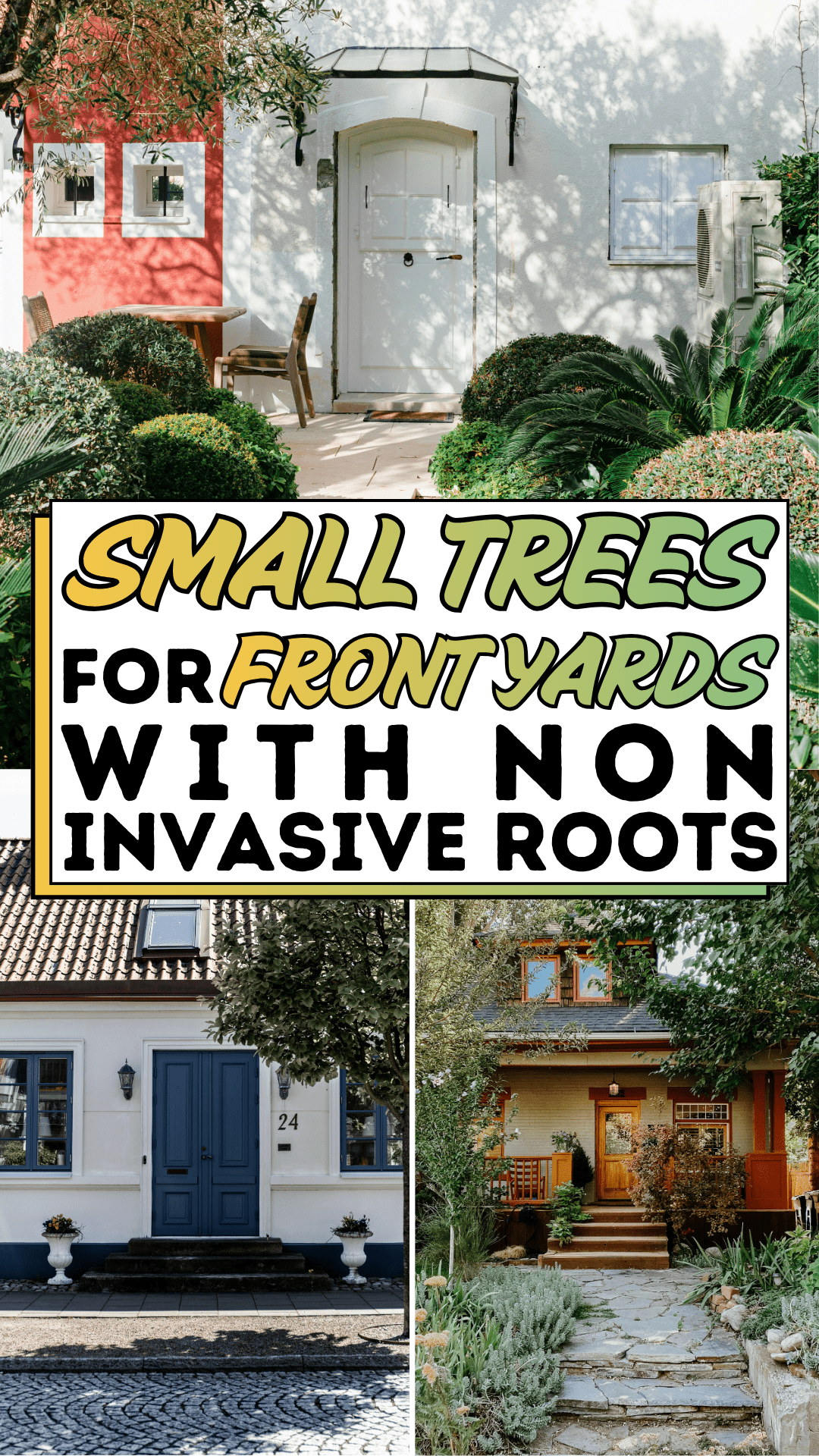 Small Trees For Front Yards With Non Invasive Roots