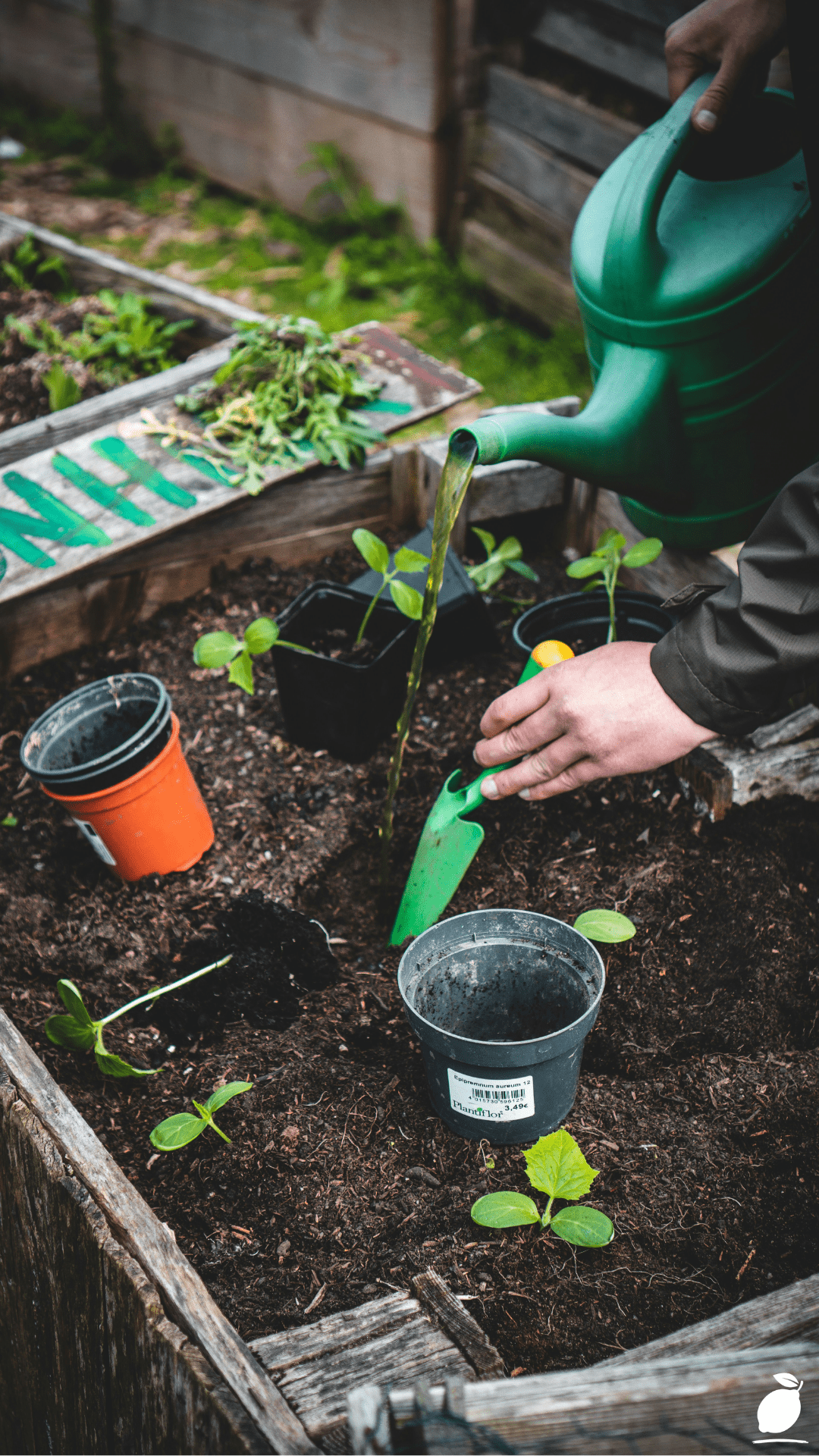 How To Create A Thriving Small Patio Veggie Garden