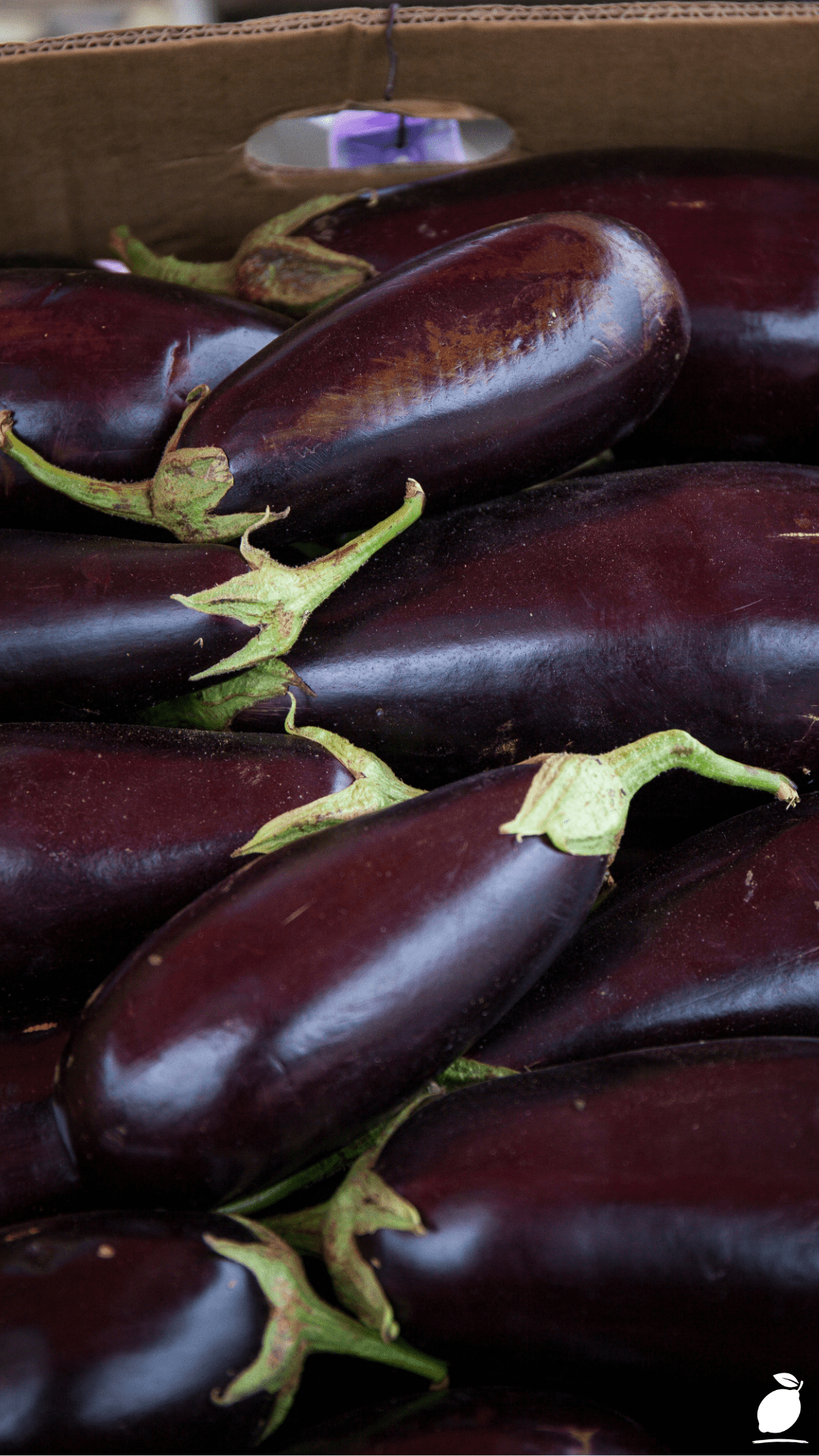 How To Freeze Eggplant