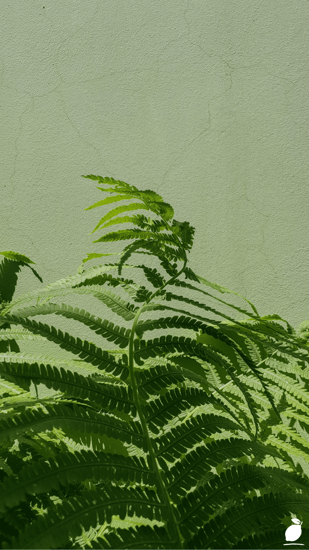 Colors That Go With Sage Green