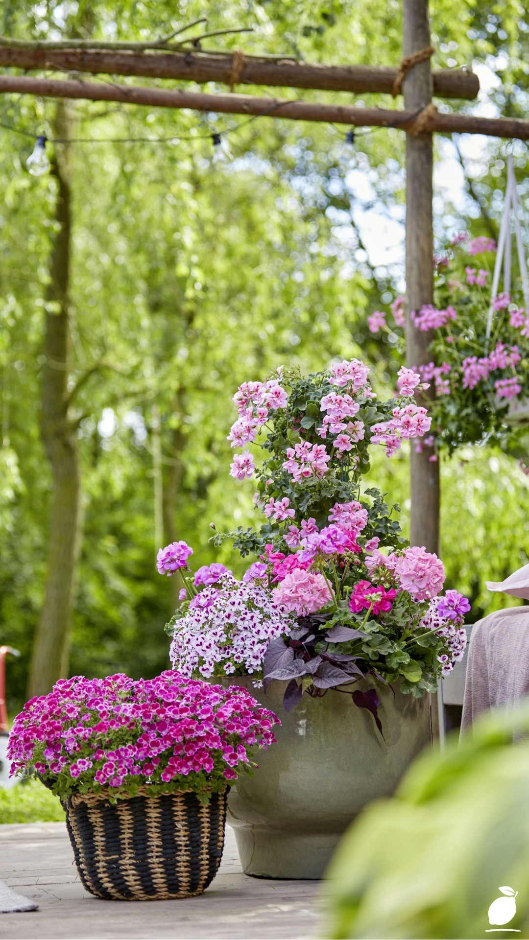 Cascading Flowers For Containers