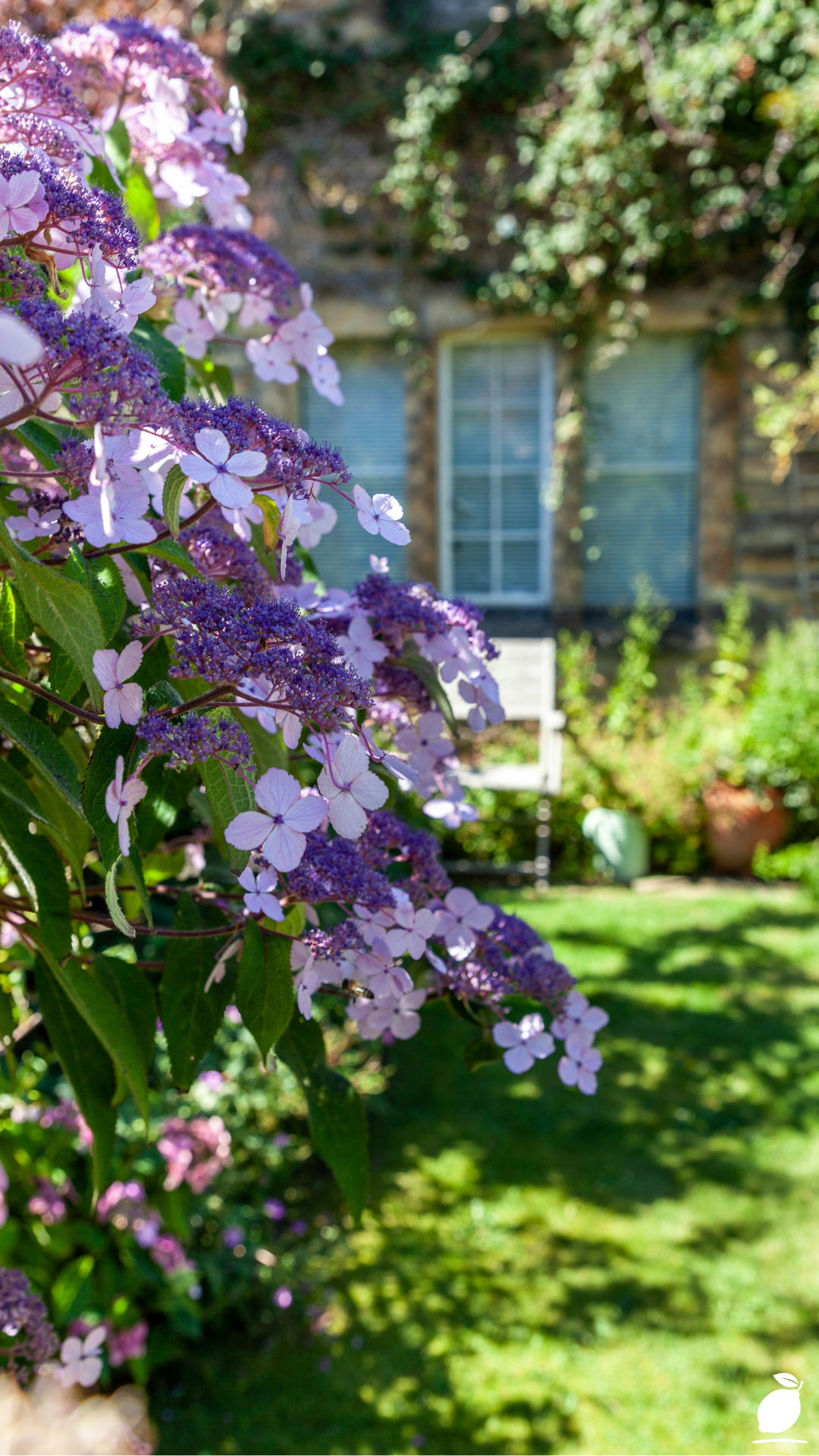 Cottage Garden Layouts That Actually Work