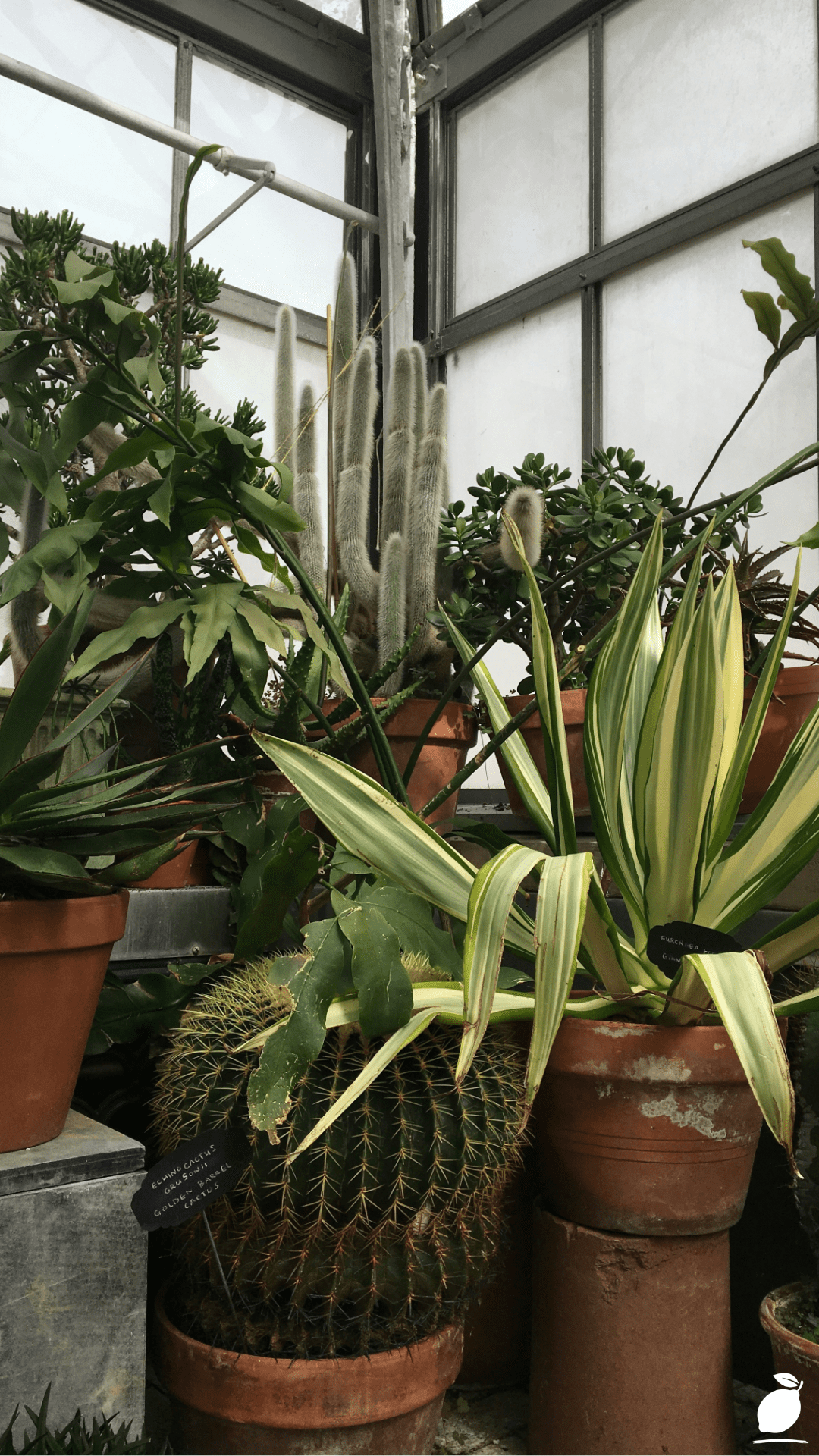 The Best Way To Water Outdoor Potted Plants