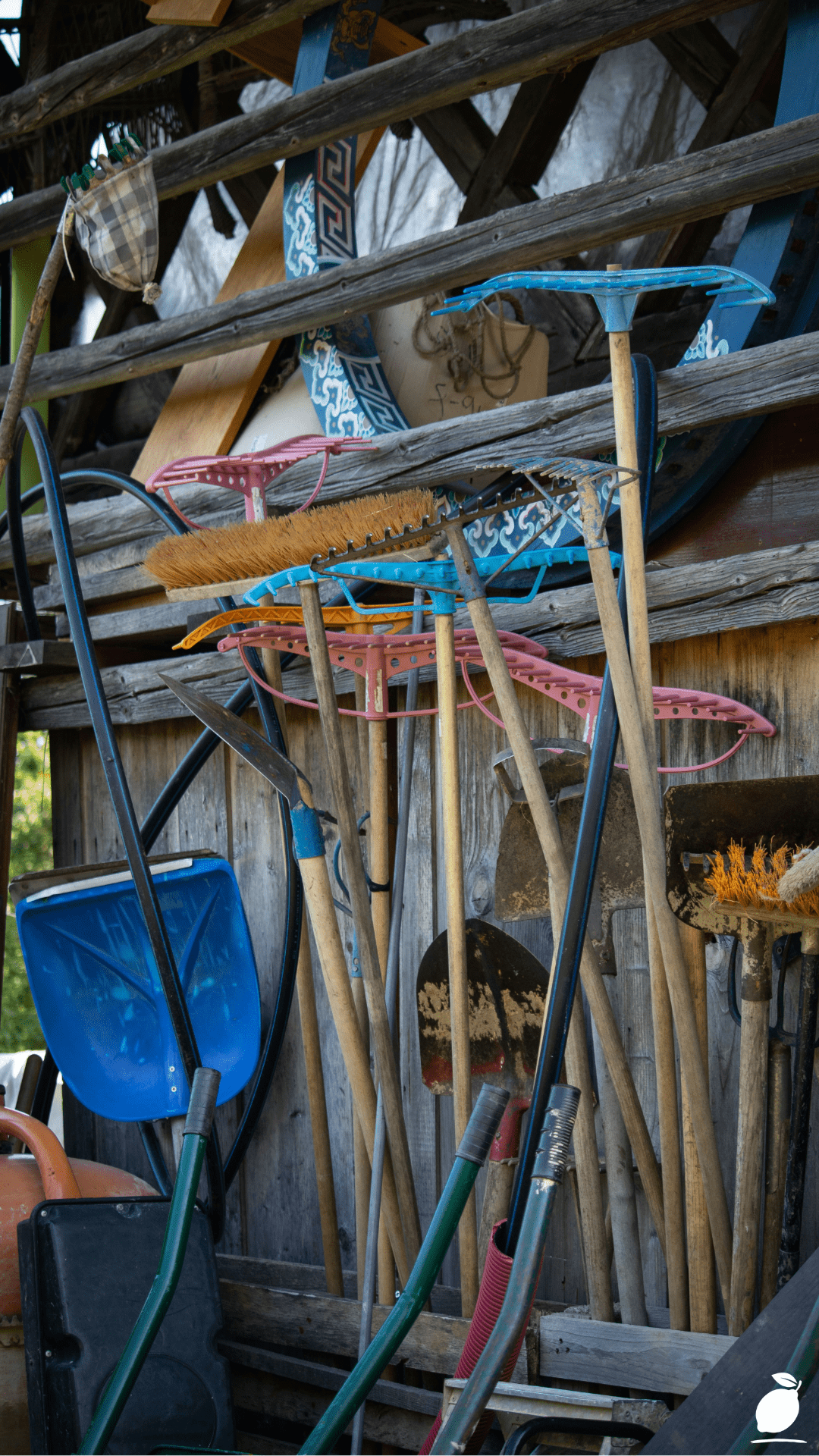 How To Organize a Shed