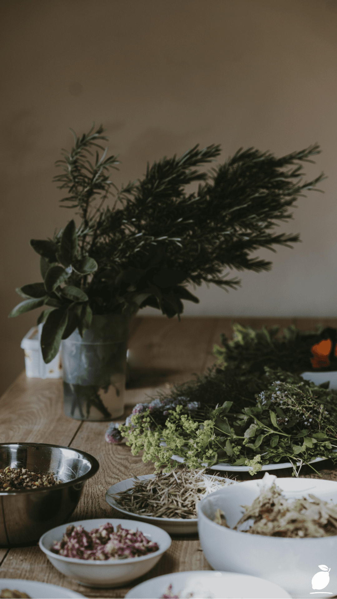 Drying Herbs in an Air Fryer