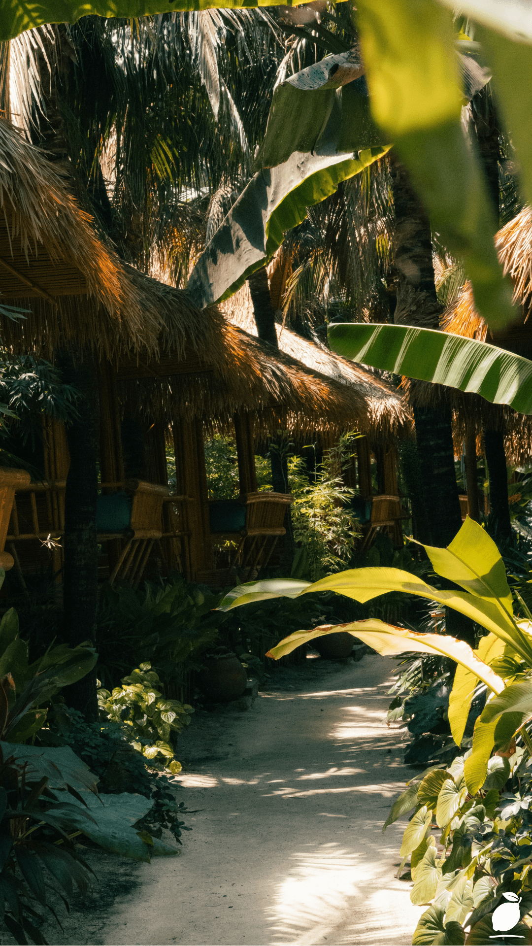 Boho Garden Guide: Turn Your Backyard Into a Bohemian Retreat