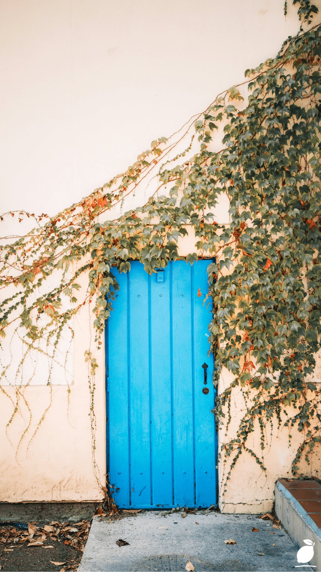 Plants Over The Door Ideas For Small Spaces