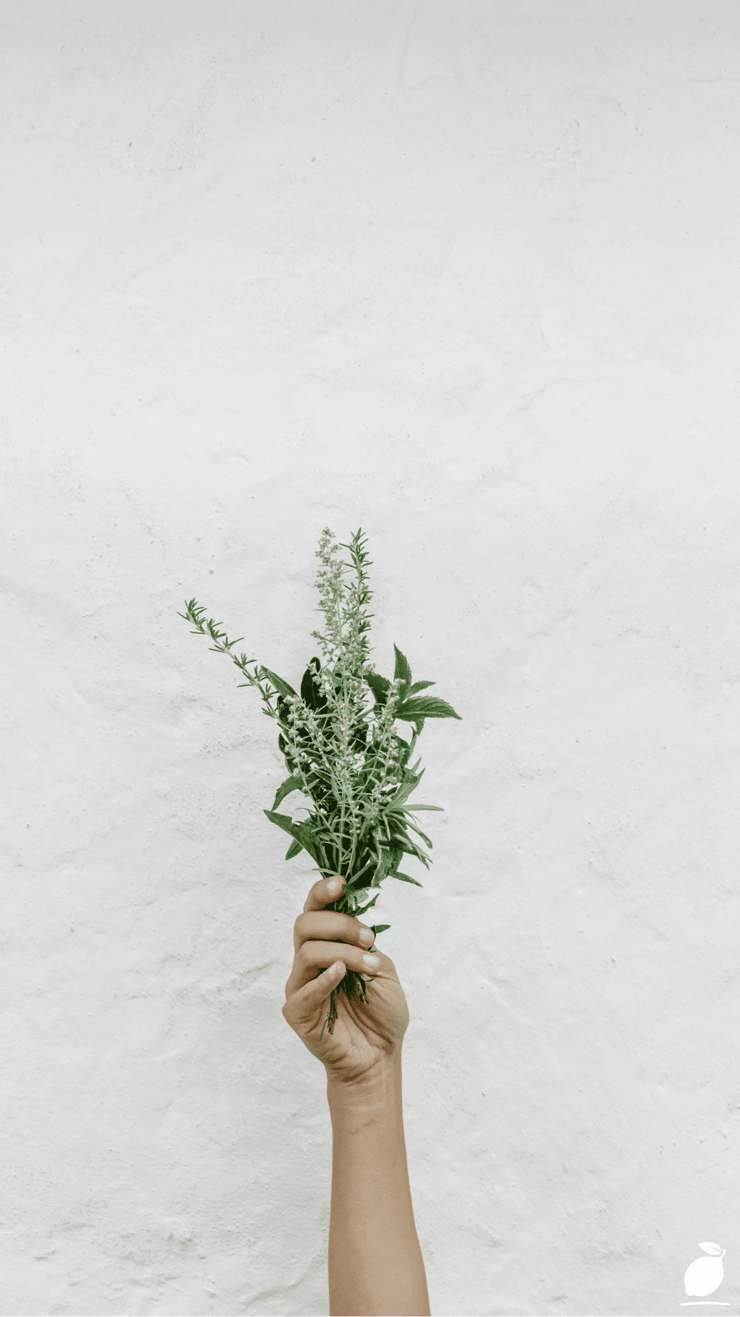 Drying Herbs in an Air Fryer
