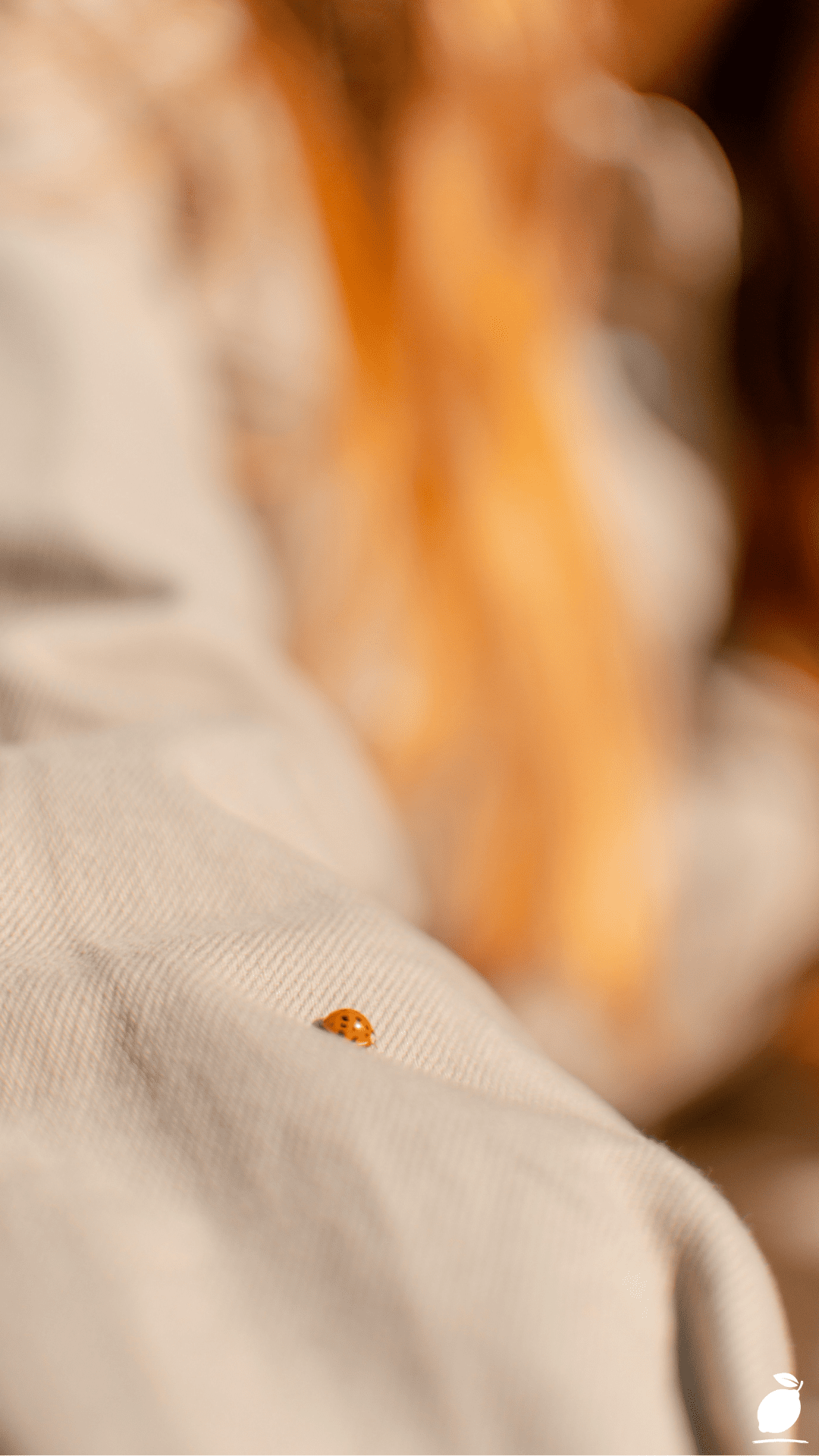 What Kills Bed Bugs Instantly?