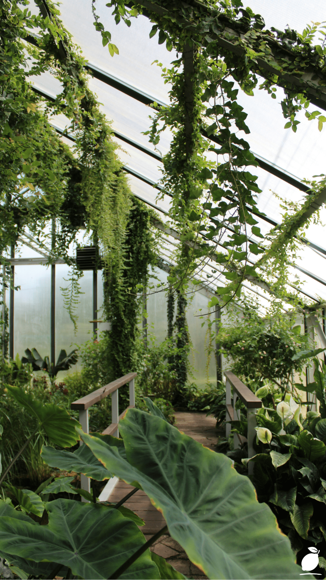 How to Insulate A Greenhouse