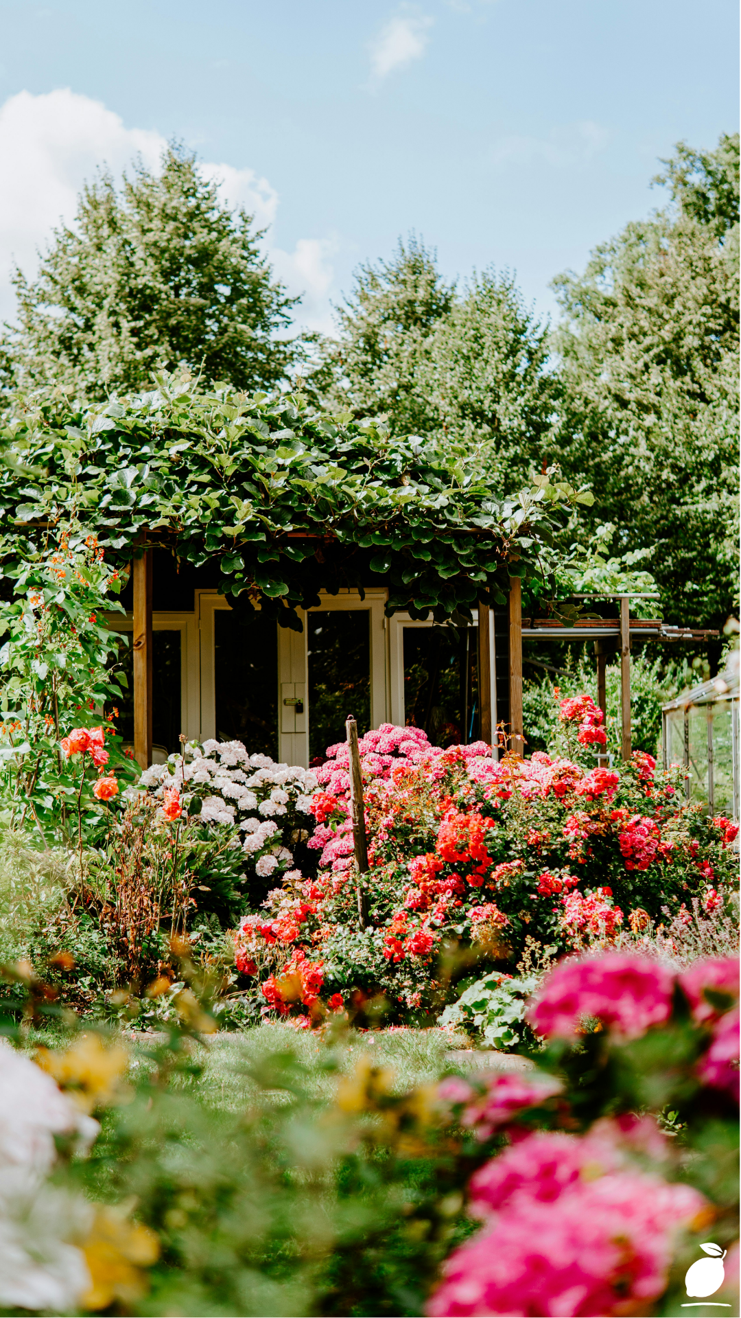 Top Flowers For A Thriving Chaos Garden