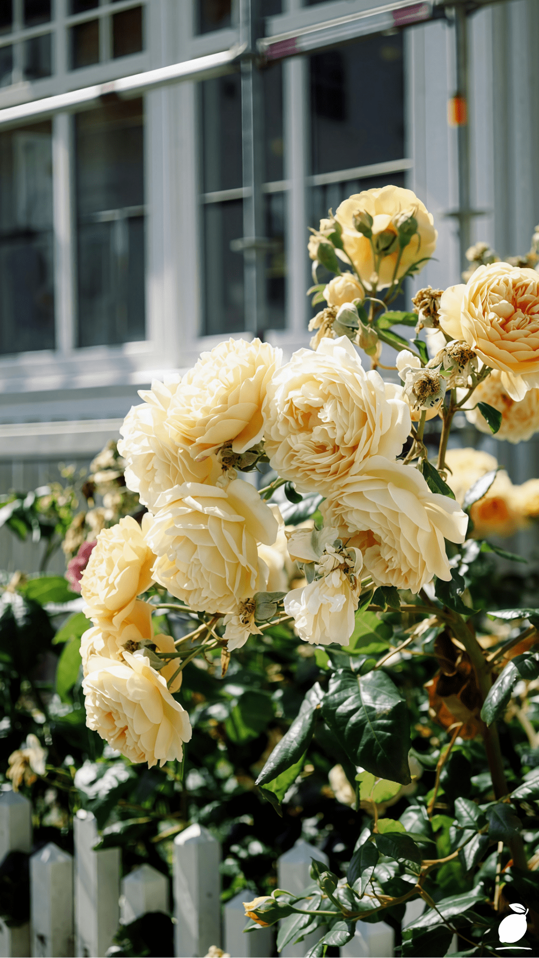Curb Appeal On A Budget
