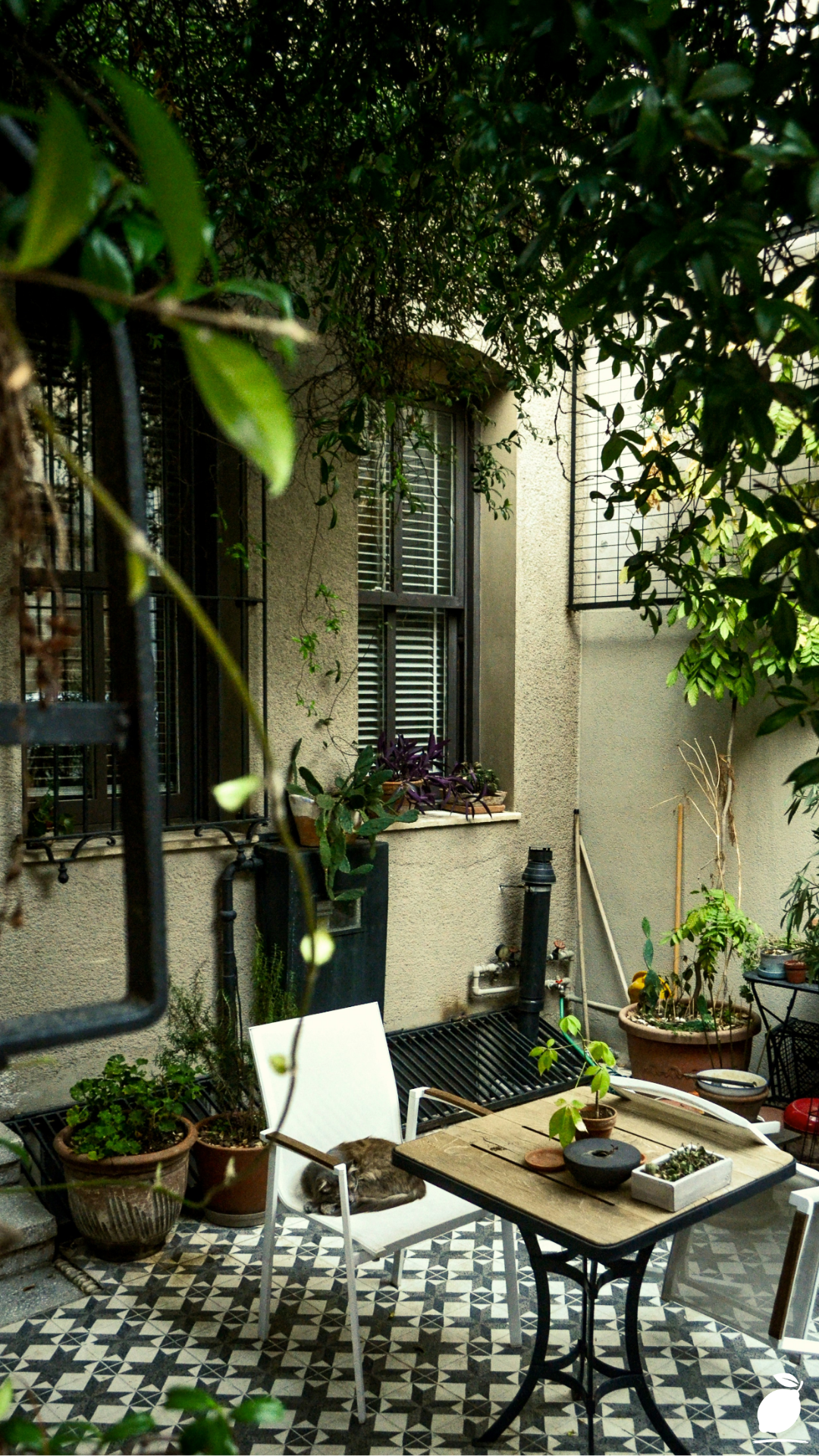 Plant For Shaded Patios And Porches