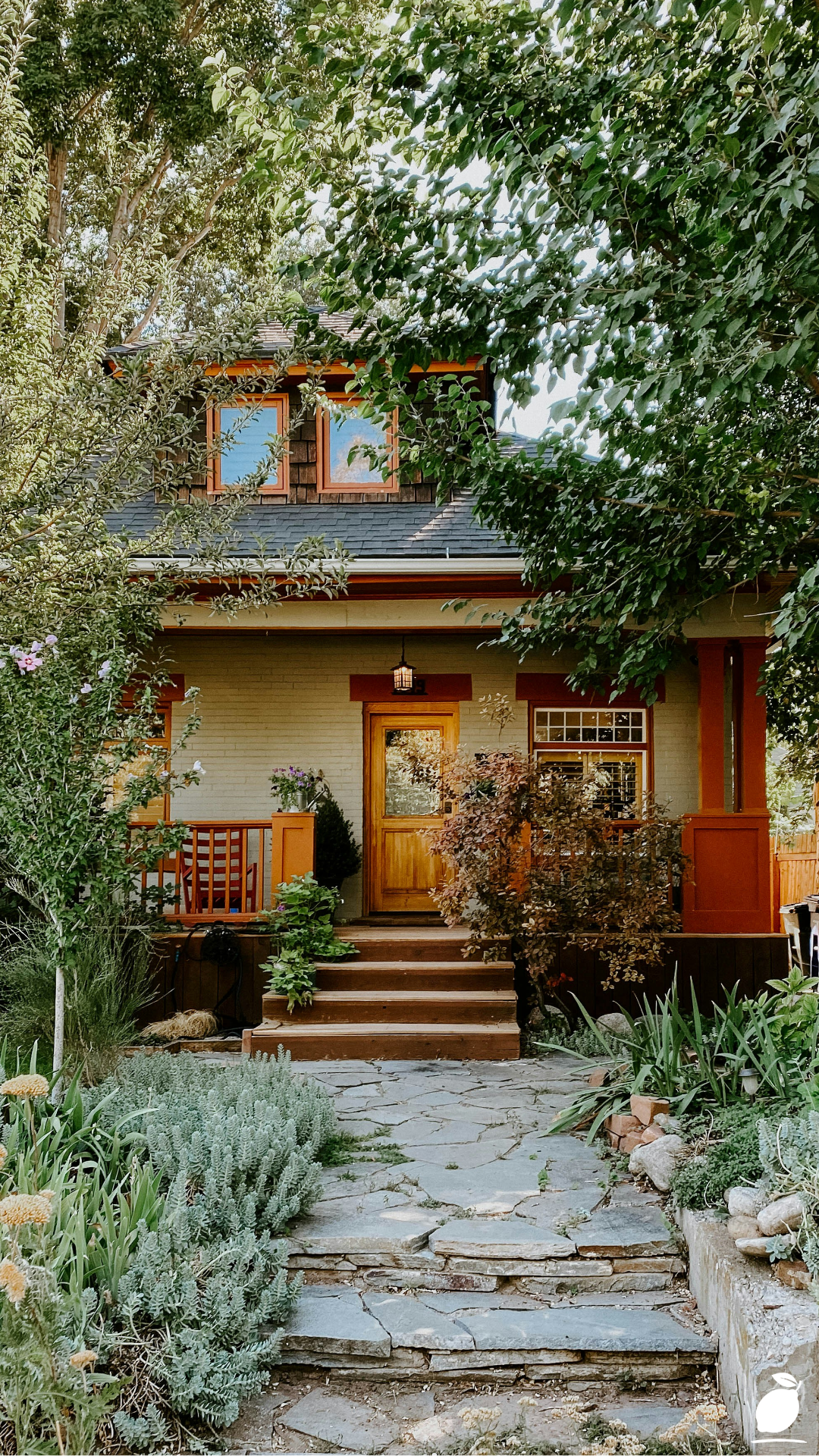 Small Trees For Front Yards With Non Invasive Roots