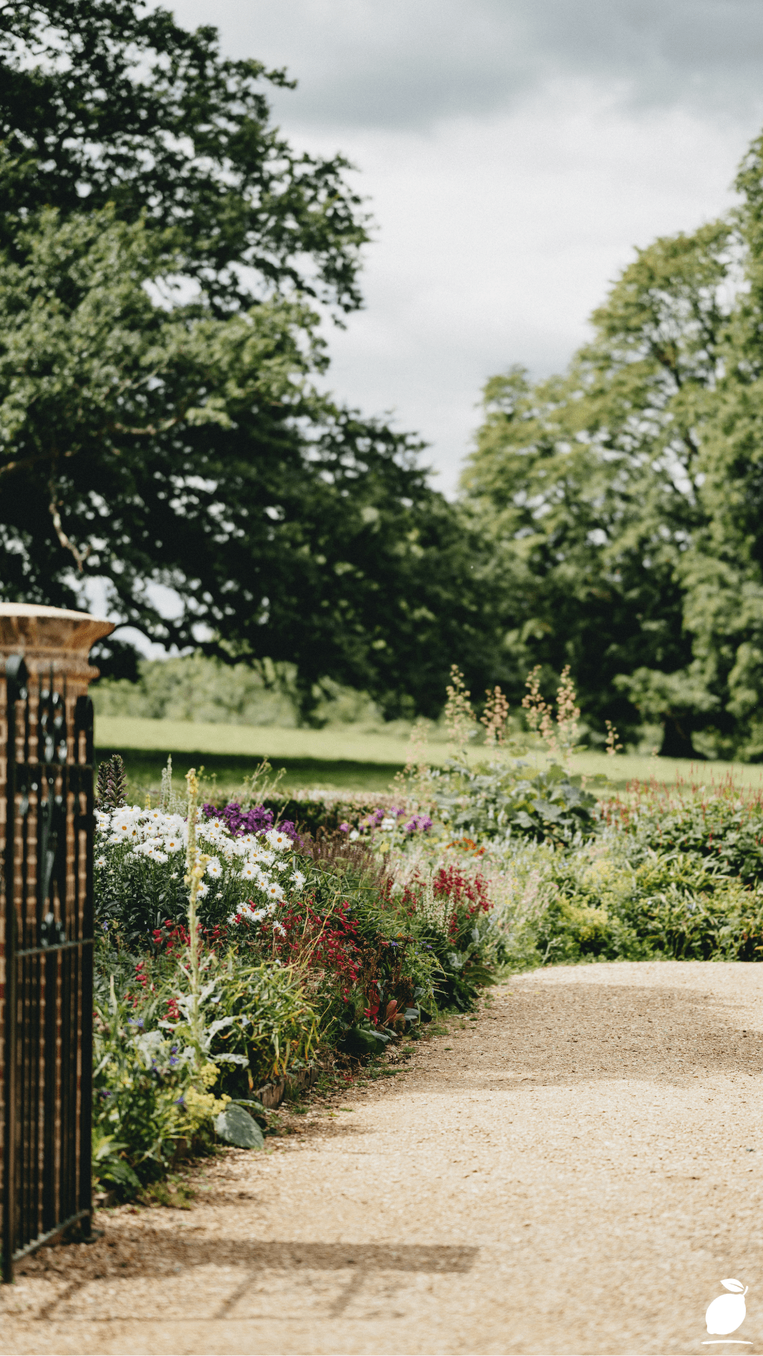 Best Perennial Plants To Use For Borders