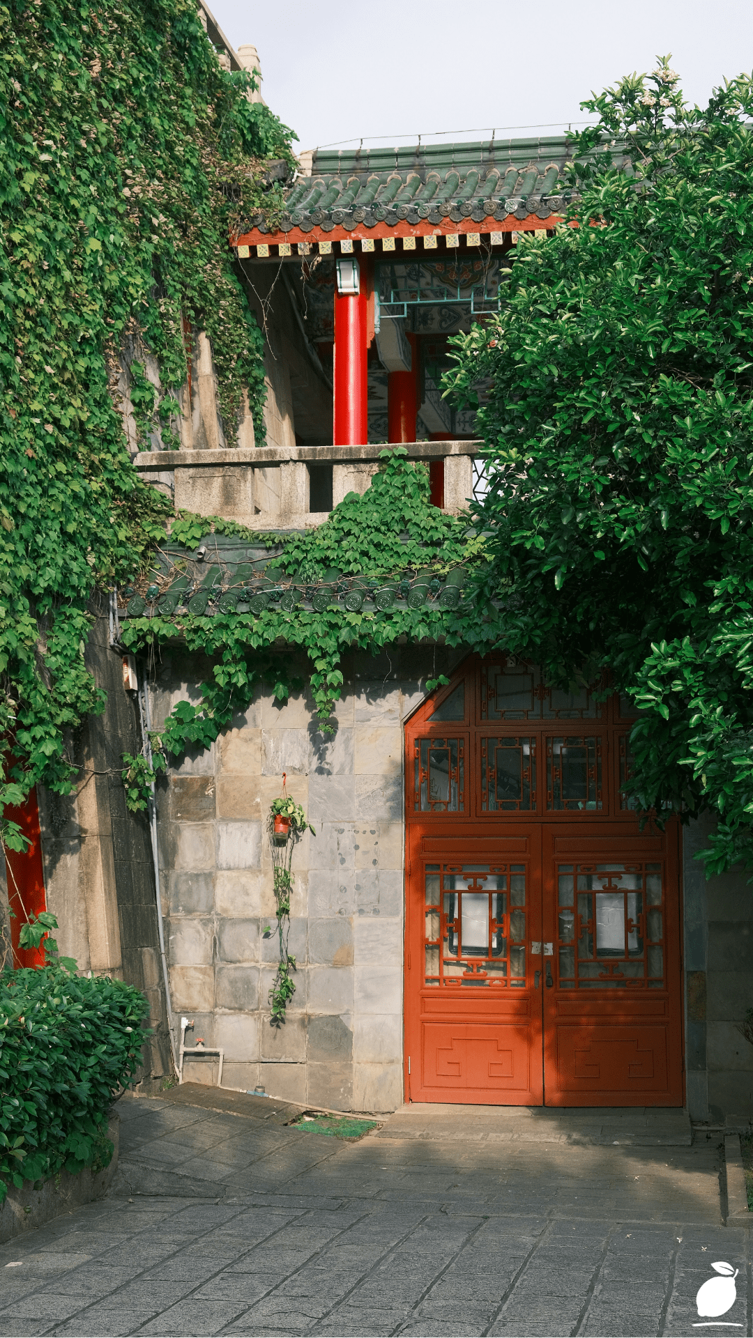 Plants Over The Door Ideas For Small Spaces