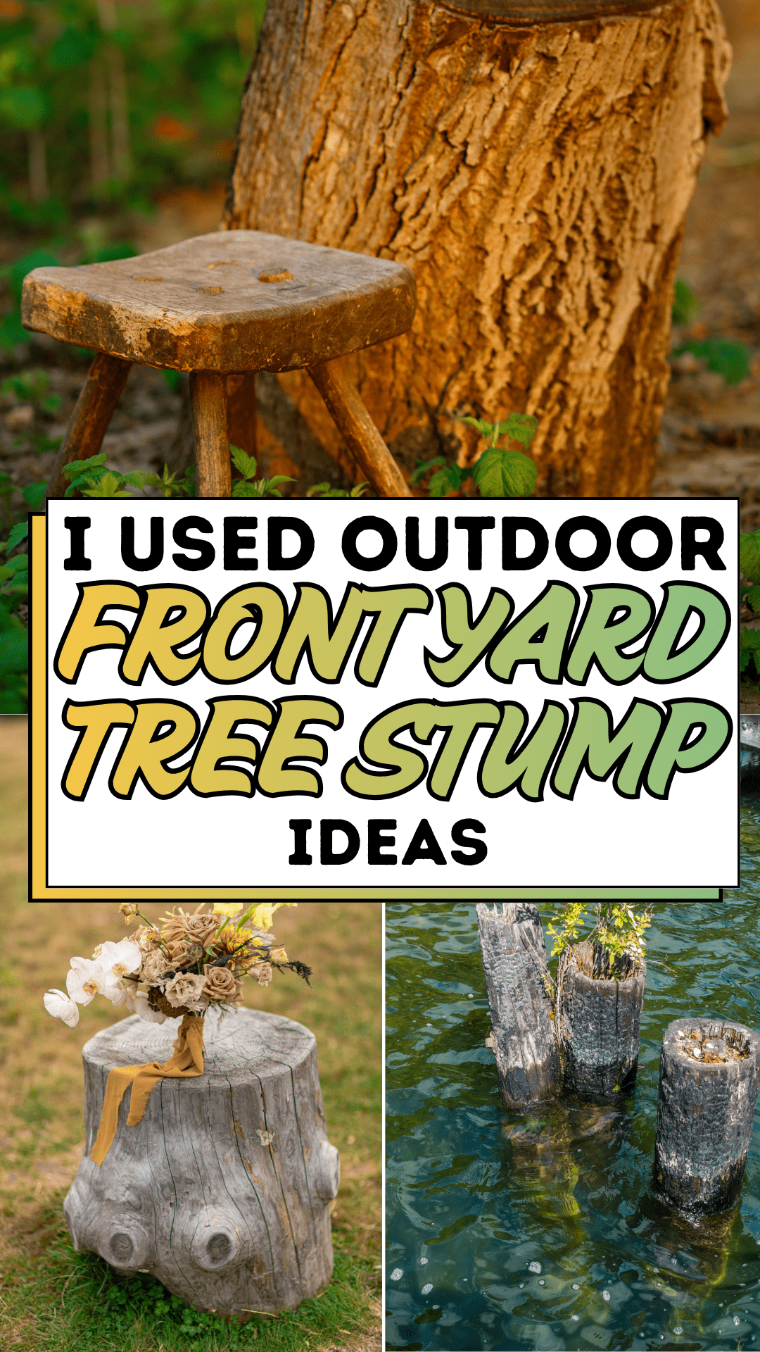 I Used Outdoor Front Yard Tree Stump Ideas