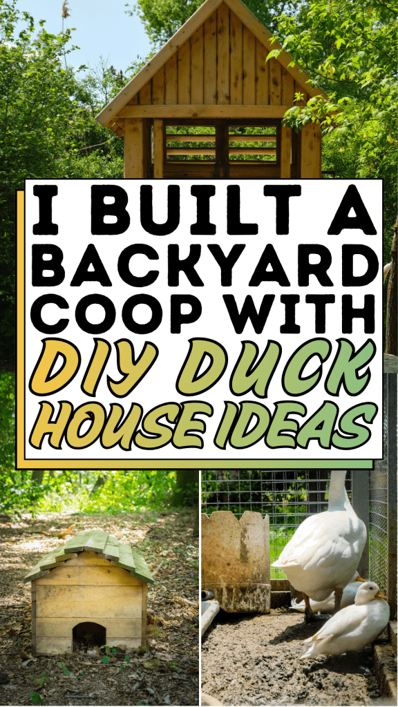 I Built a Backyard Coop with DIY Duck House Ideas