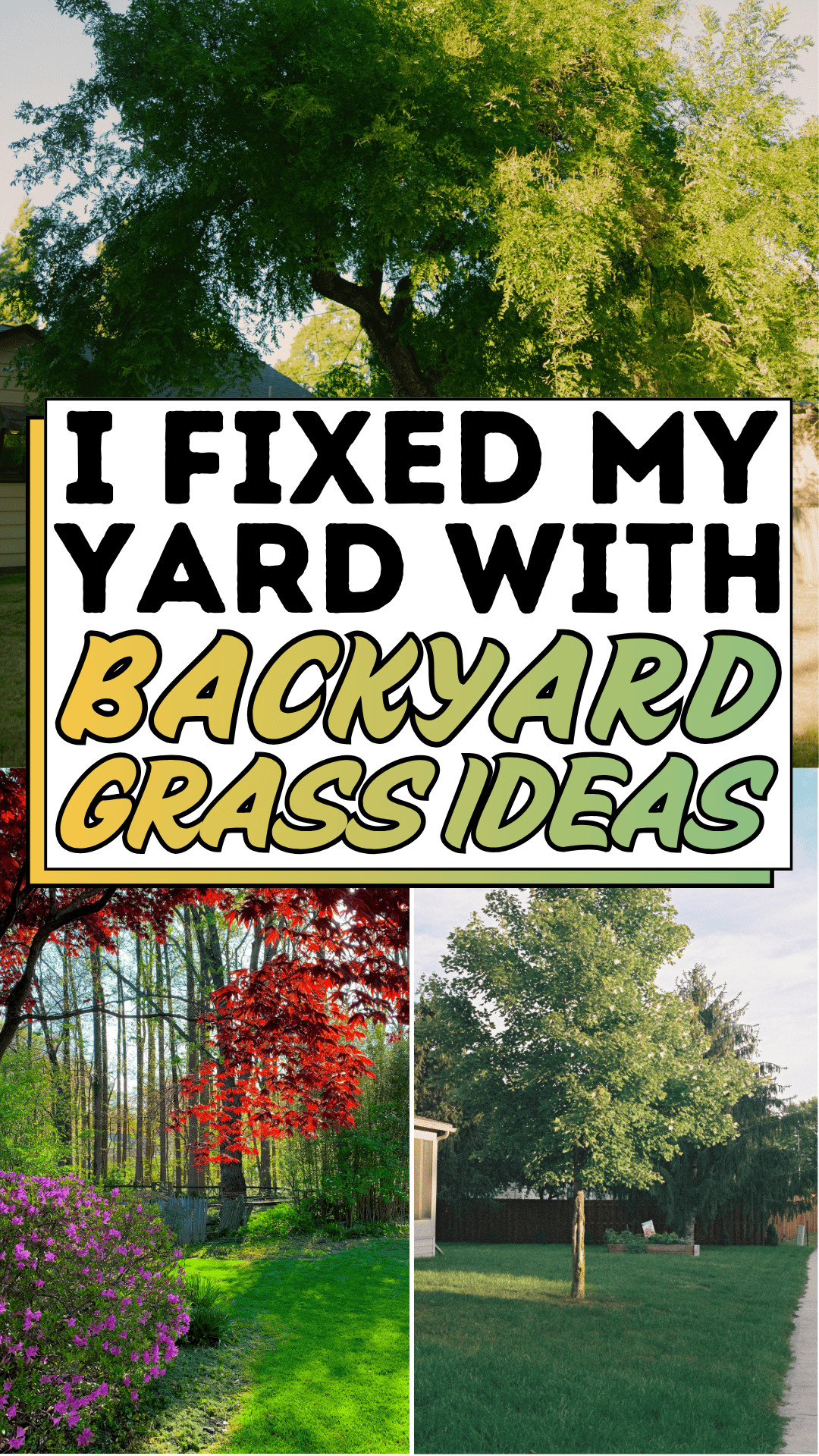I Fixed My Yard with Backyard Grass Ideas