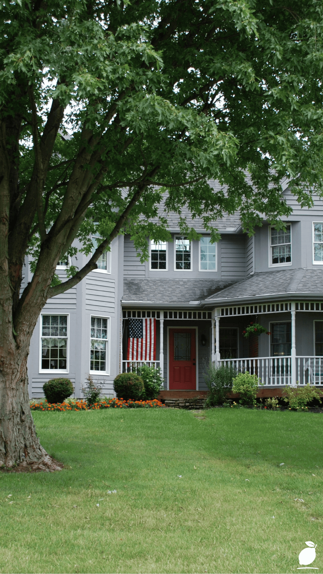 I Upgraded My Lawn with Evergreen Front Yard Landscaping Ideas