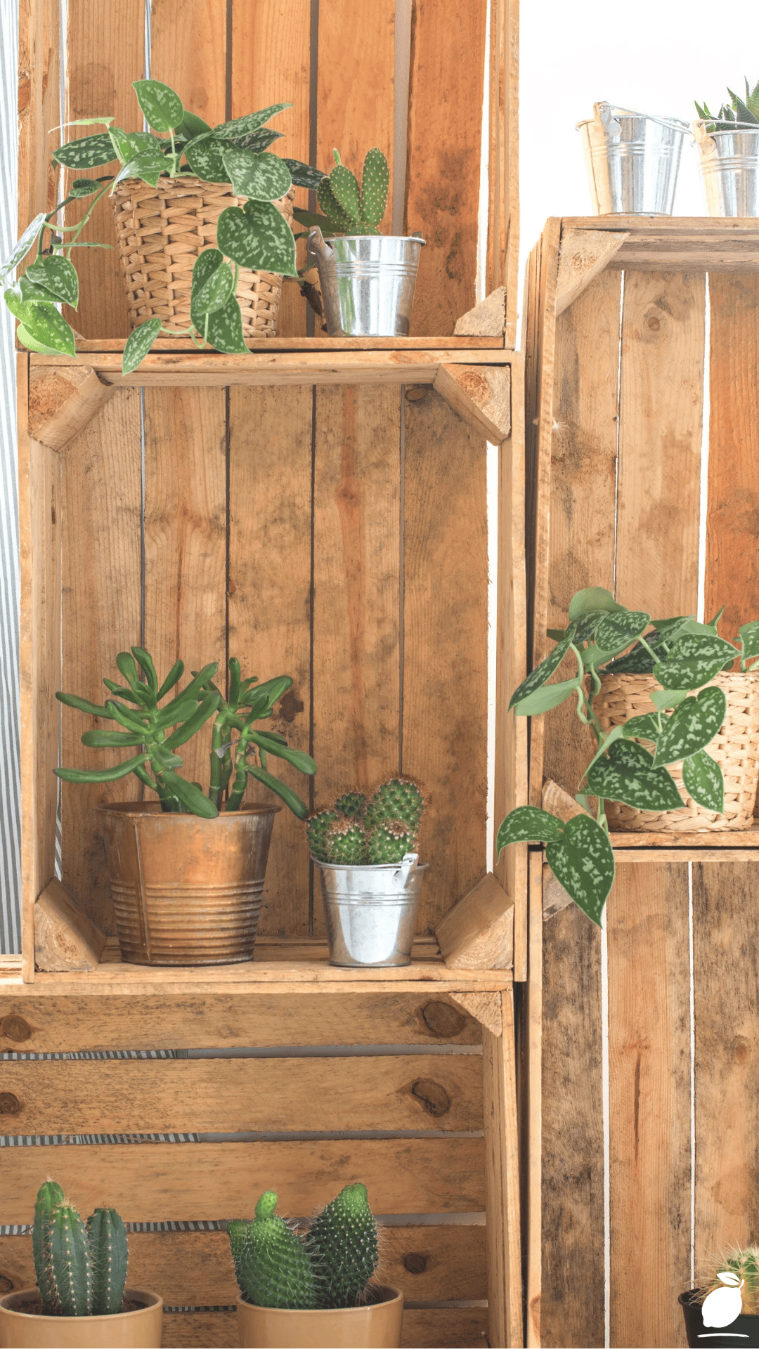 I Upgraded Our Room with Wooden Crate Shelf Ideas