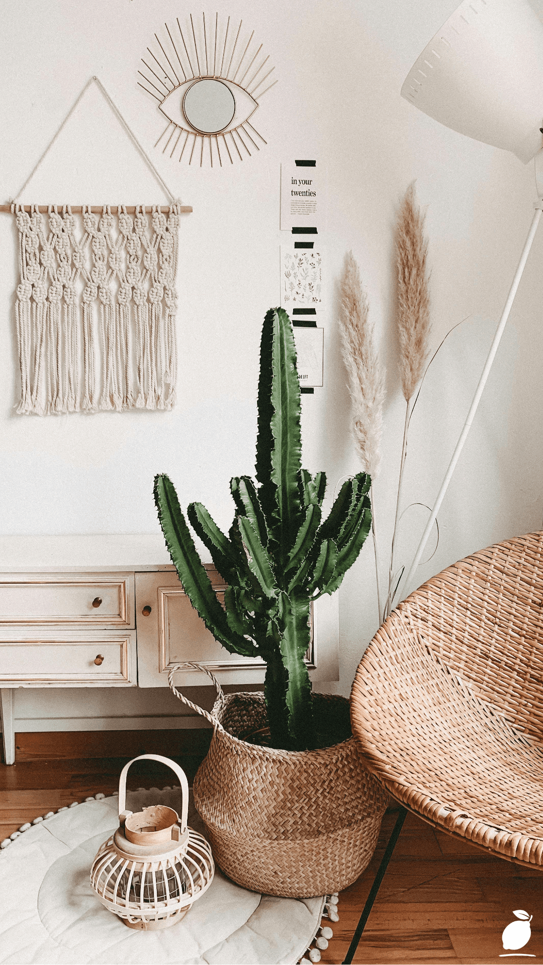 I Styled My Boho Mid Century Modern Living Room to Make It Warm