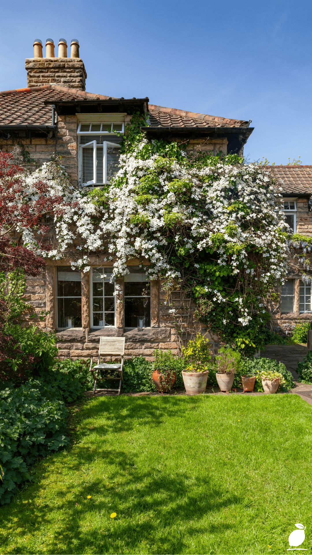 How I Transformed My Yard with Simple Cottage Garden Ideas