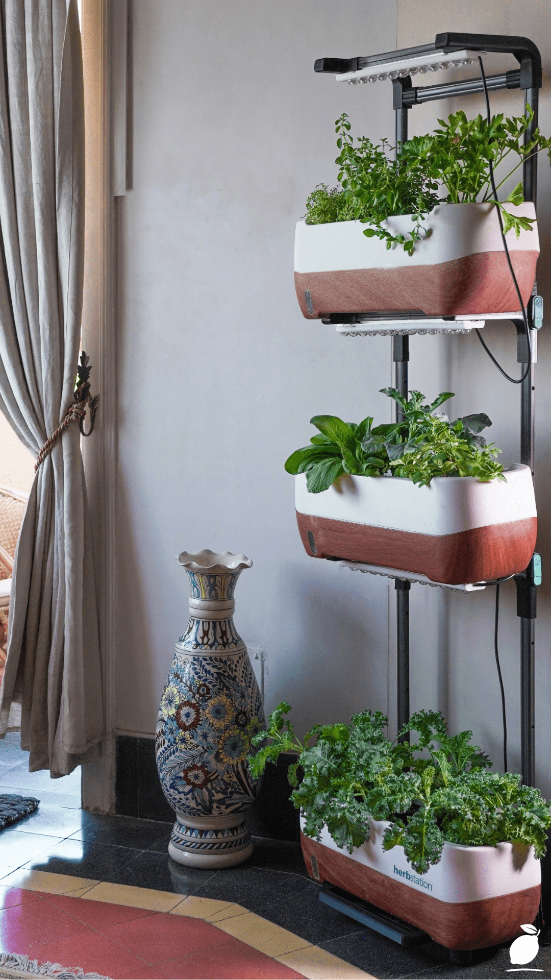 How I Turned My Wall with a Vertical Herb Garden