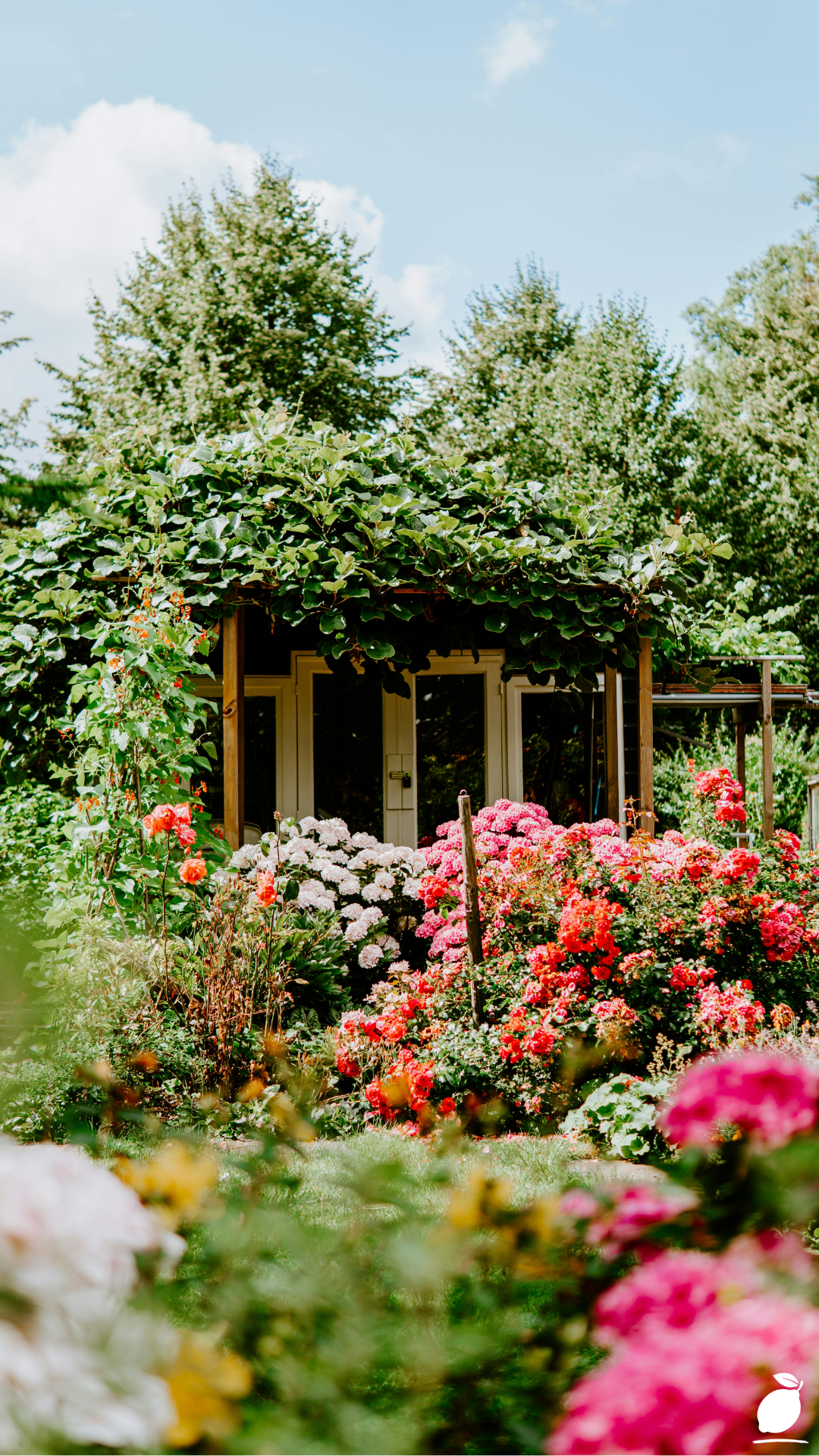 I Used Flower Garden Ideas to Create my Outdoor Space