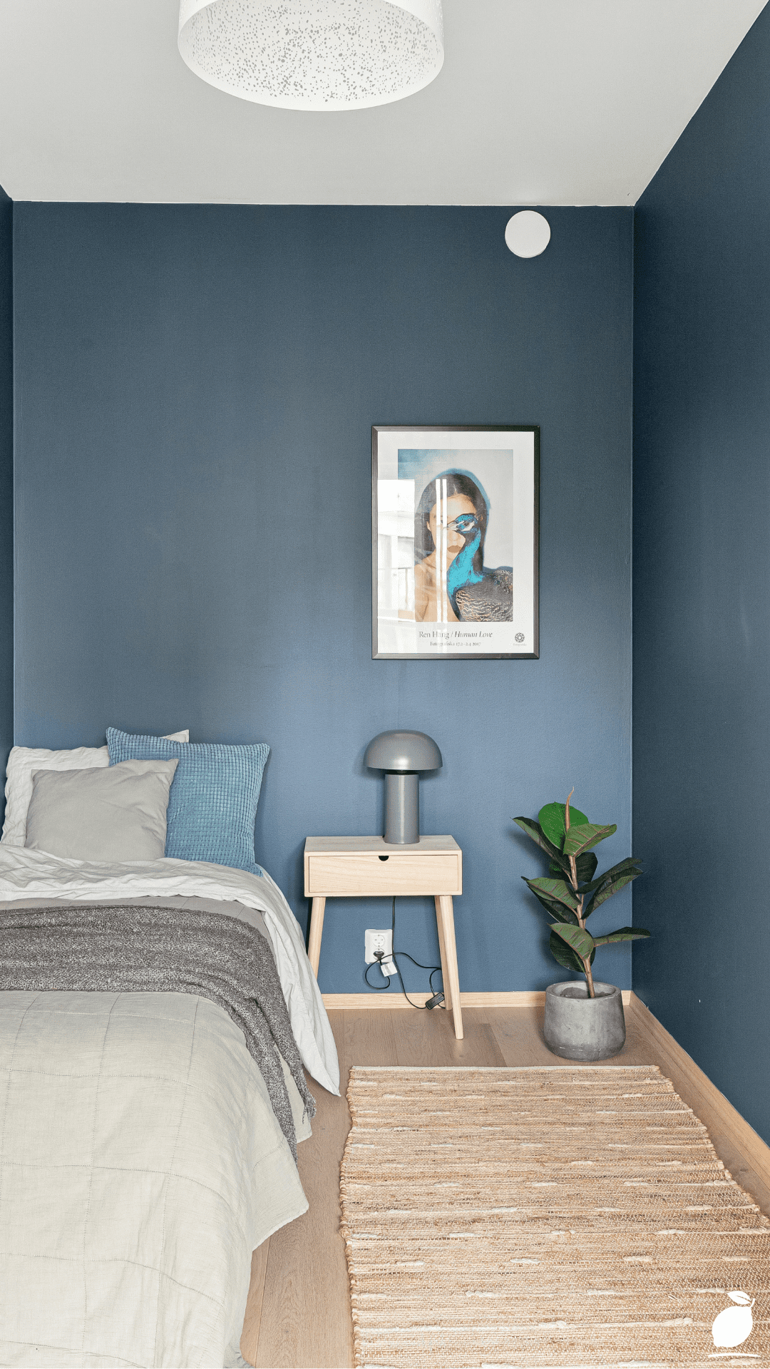 Boys Bedroom Ideas: How to Transition the Space for a Teenage Guy