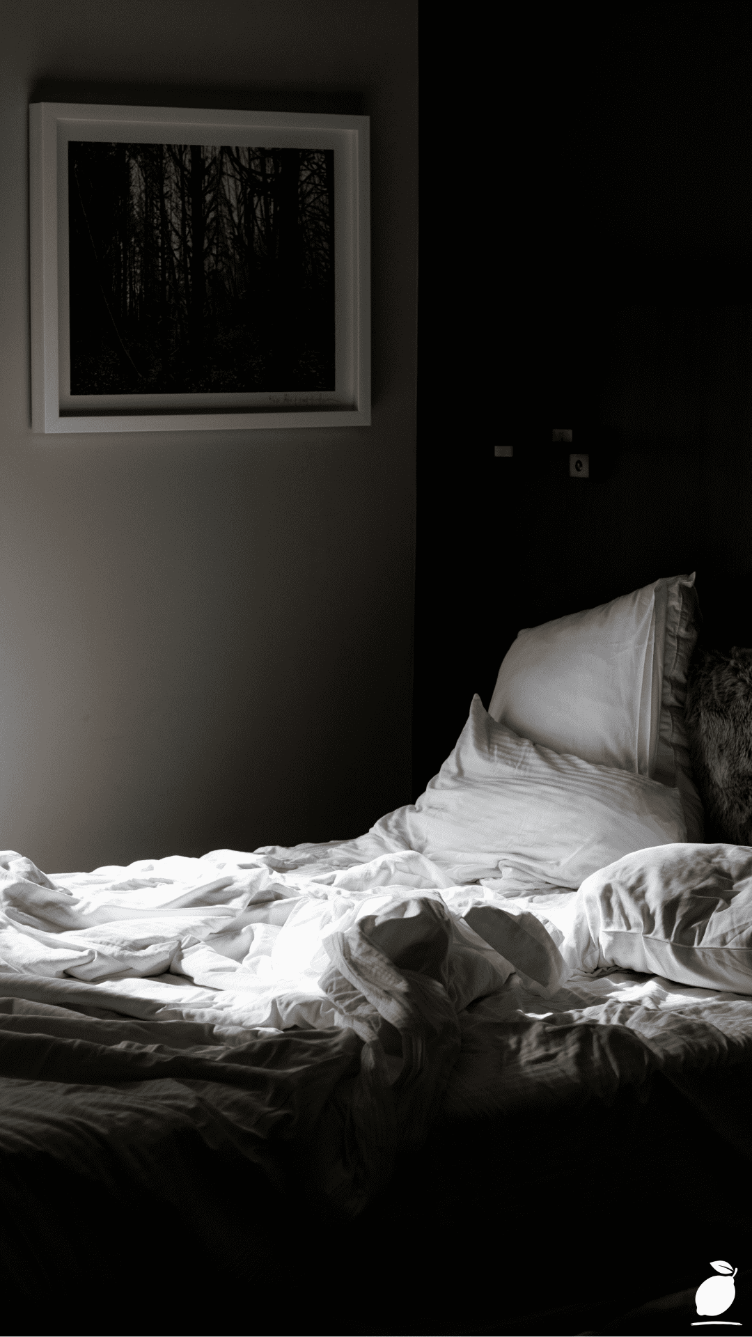 I Styled My Space Using Dark Feminine Bedroom Sanctuary Ideas