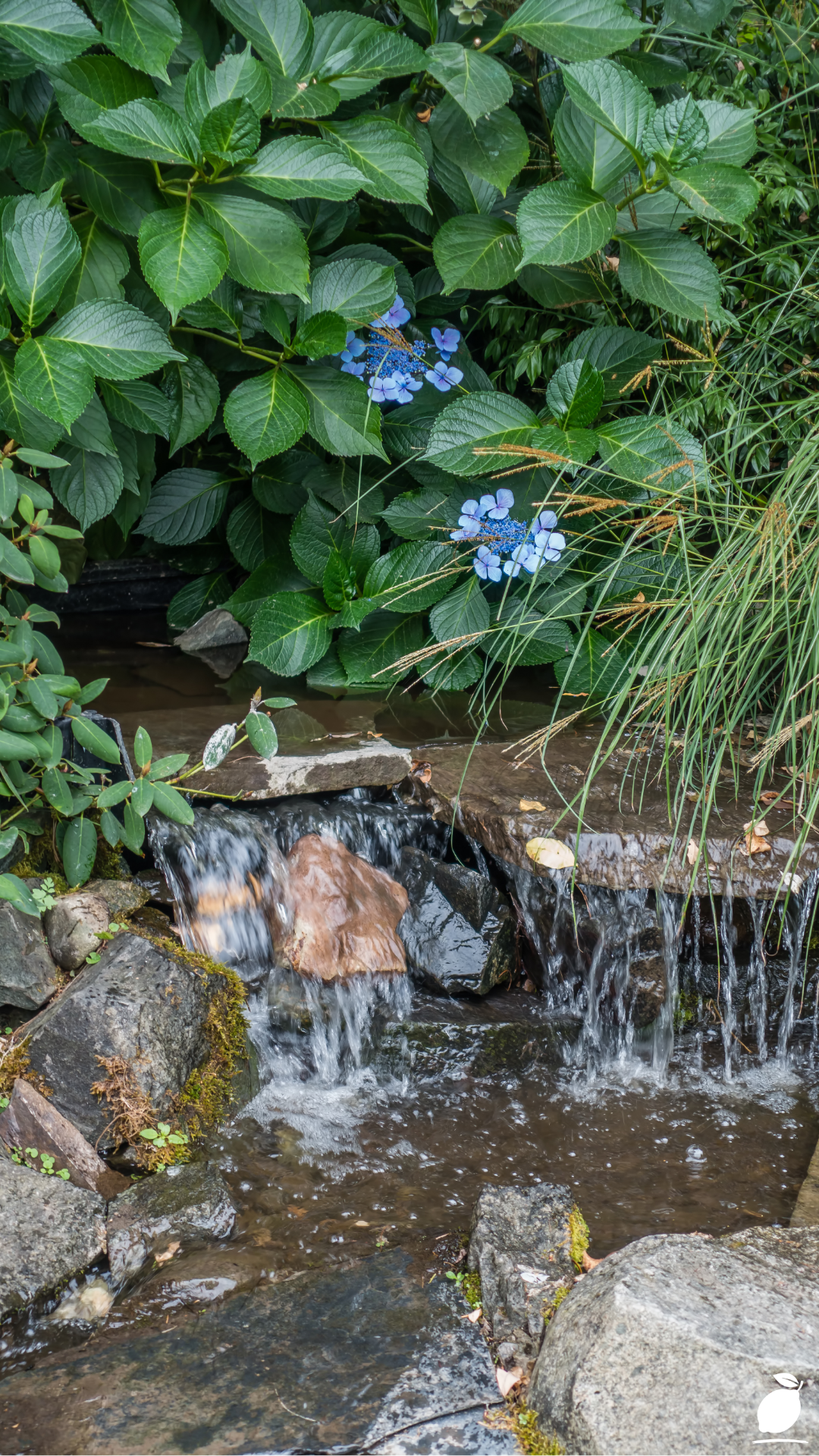 I Styled My Exterior Using Pondless Waterfall Ideas